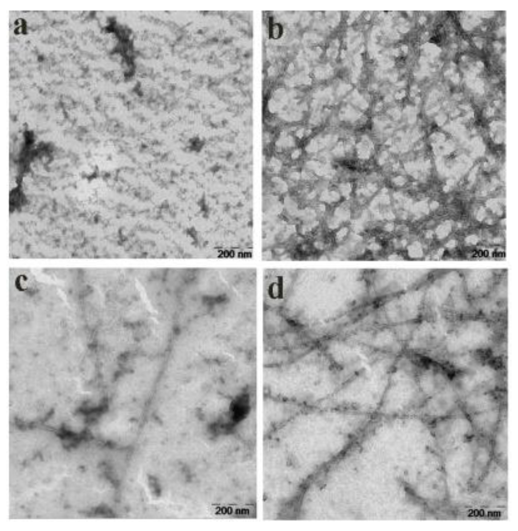 Molecules 23 03100 g006 Molecules 23 03100 g006