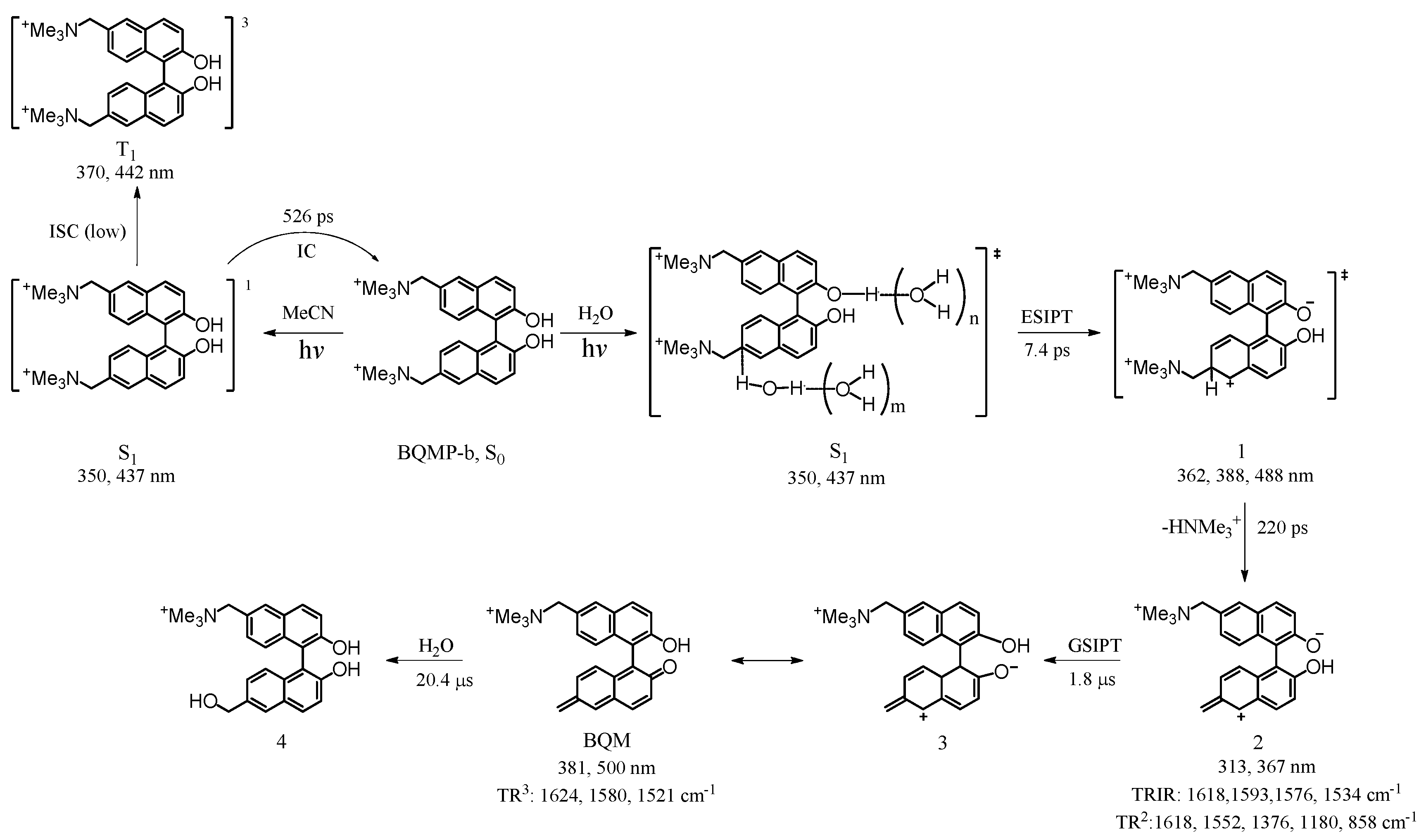 Molecules 23 03102 sch001