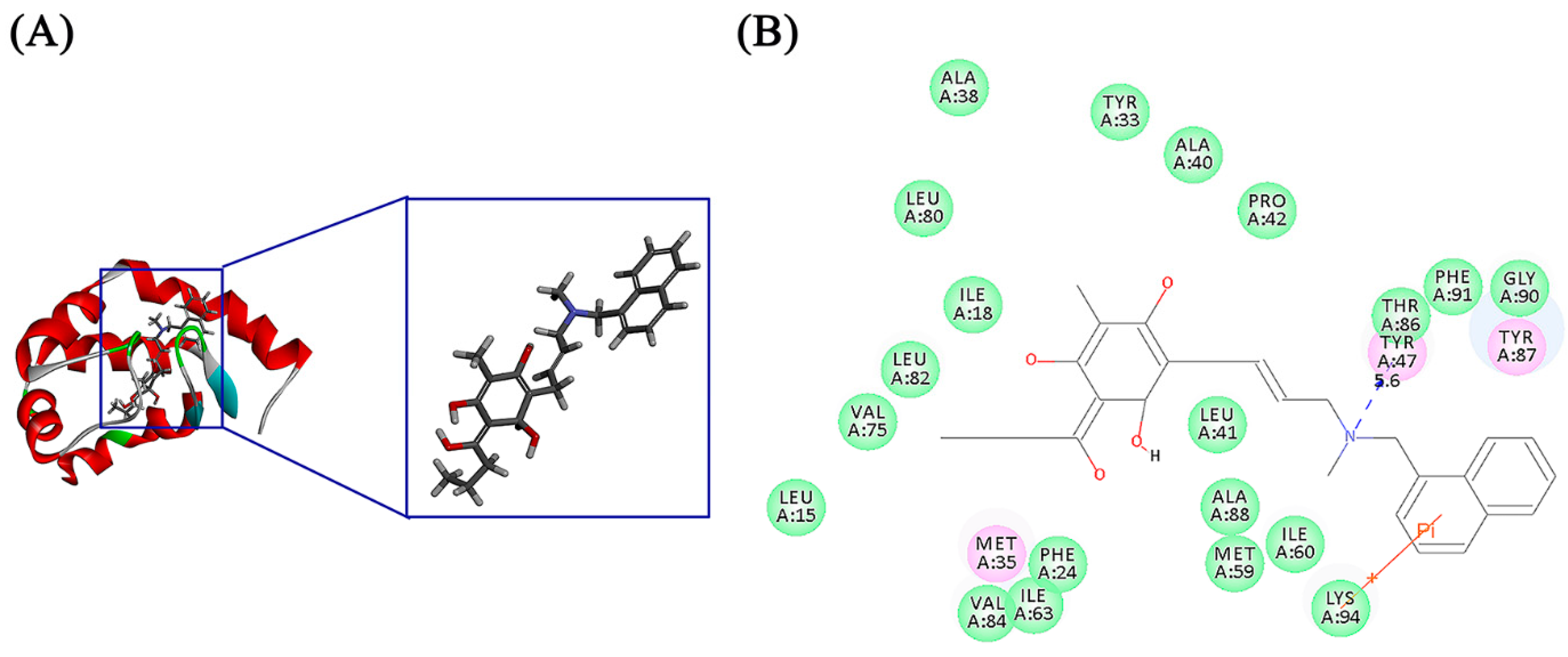 Molecules 23 03116 g005 Molecules 23 03116 g005