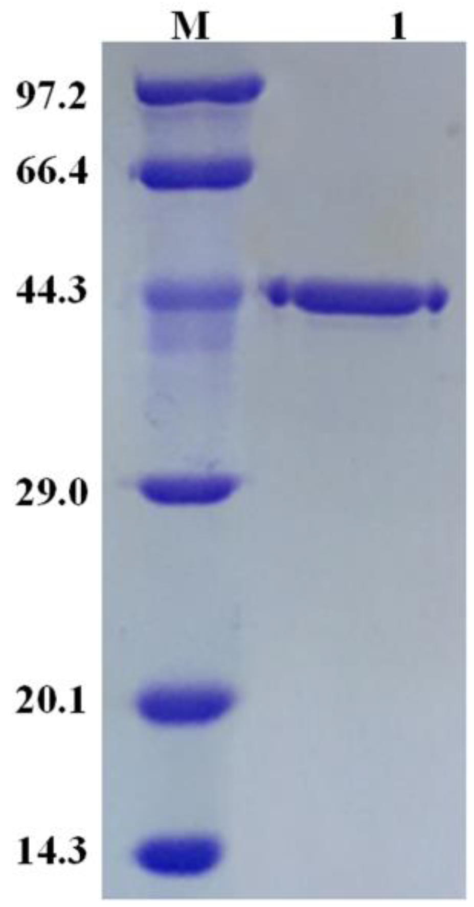 Molecules 23 03117 g001