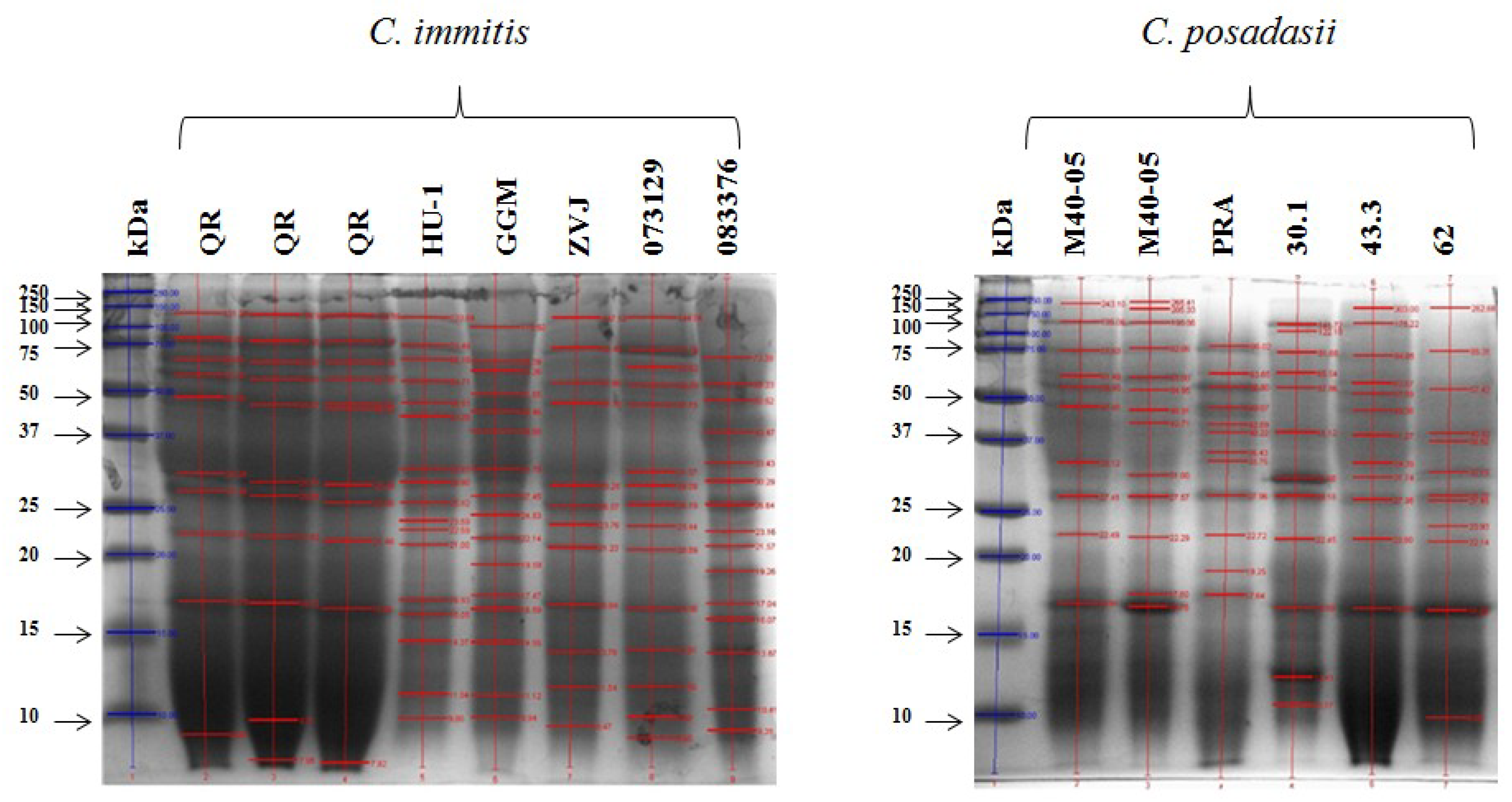 Molecules 23 03145 g002 Molecules 23 03145 g002