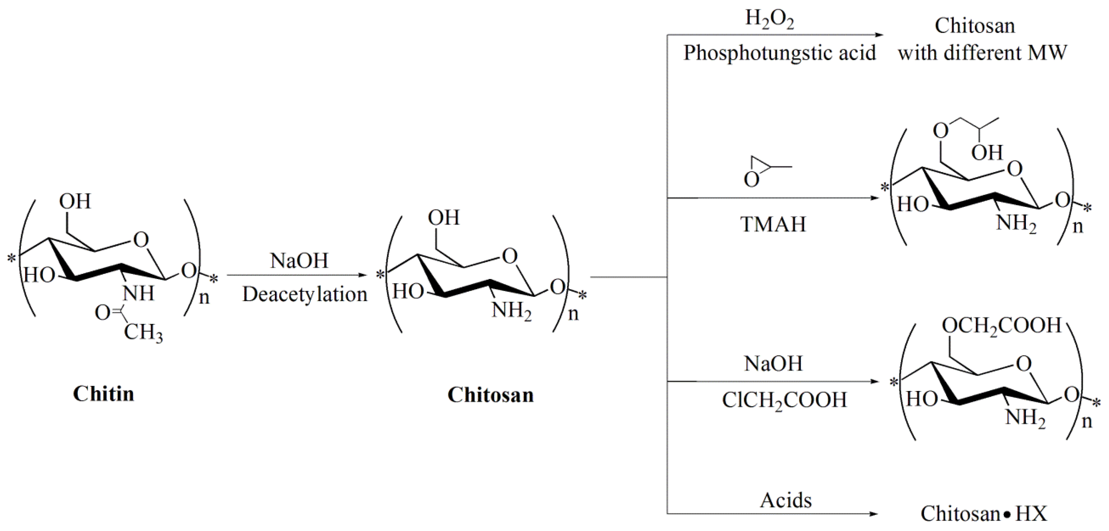 Molecules 23 03147 g001 Molecules 23 03147 g001