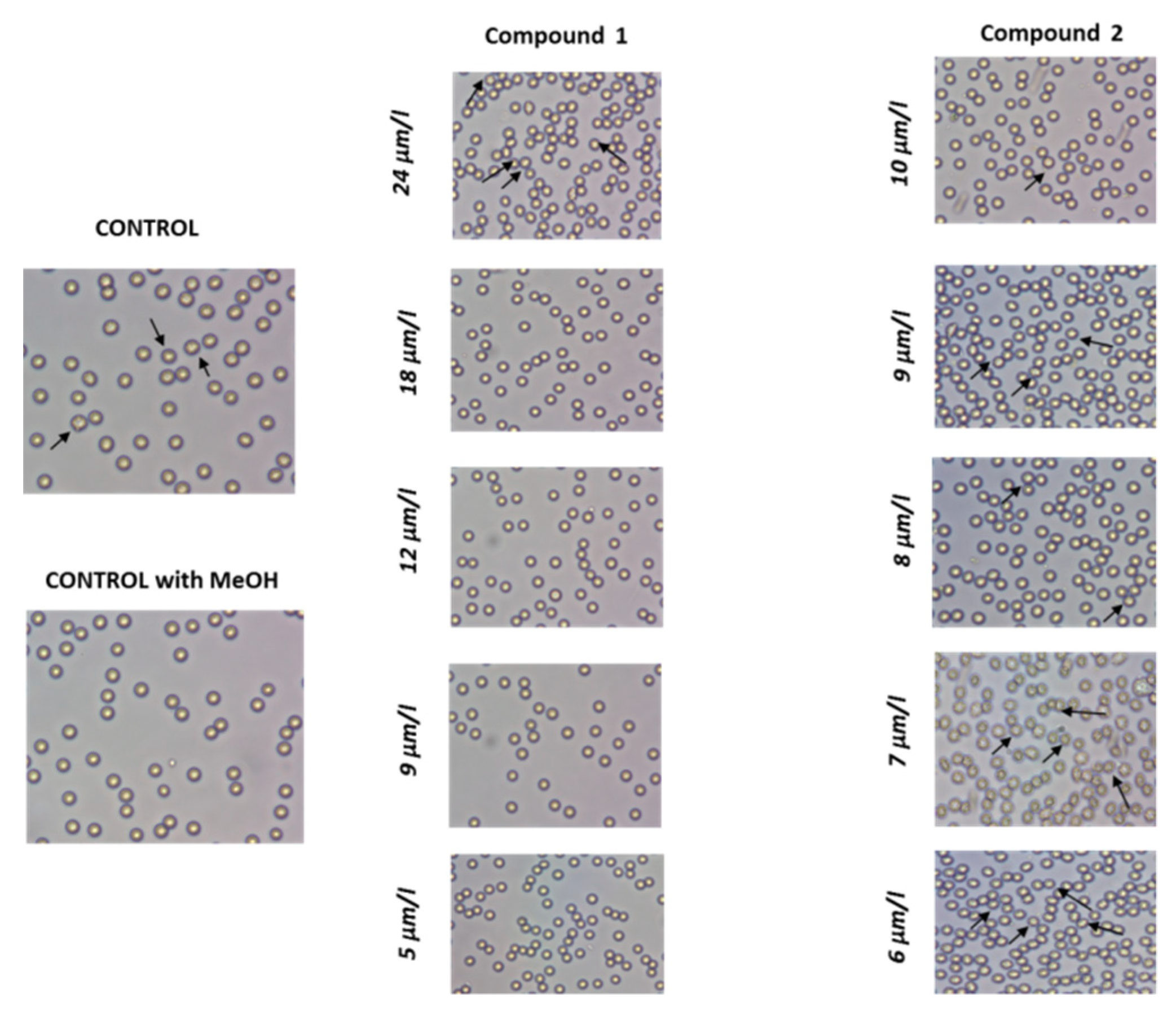 Molecules 23 03172 g005 Molecules 23 03172 g005