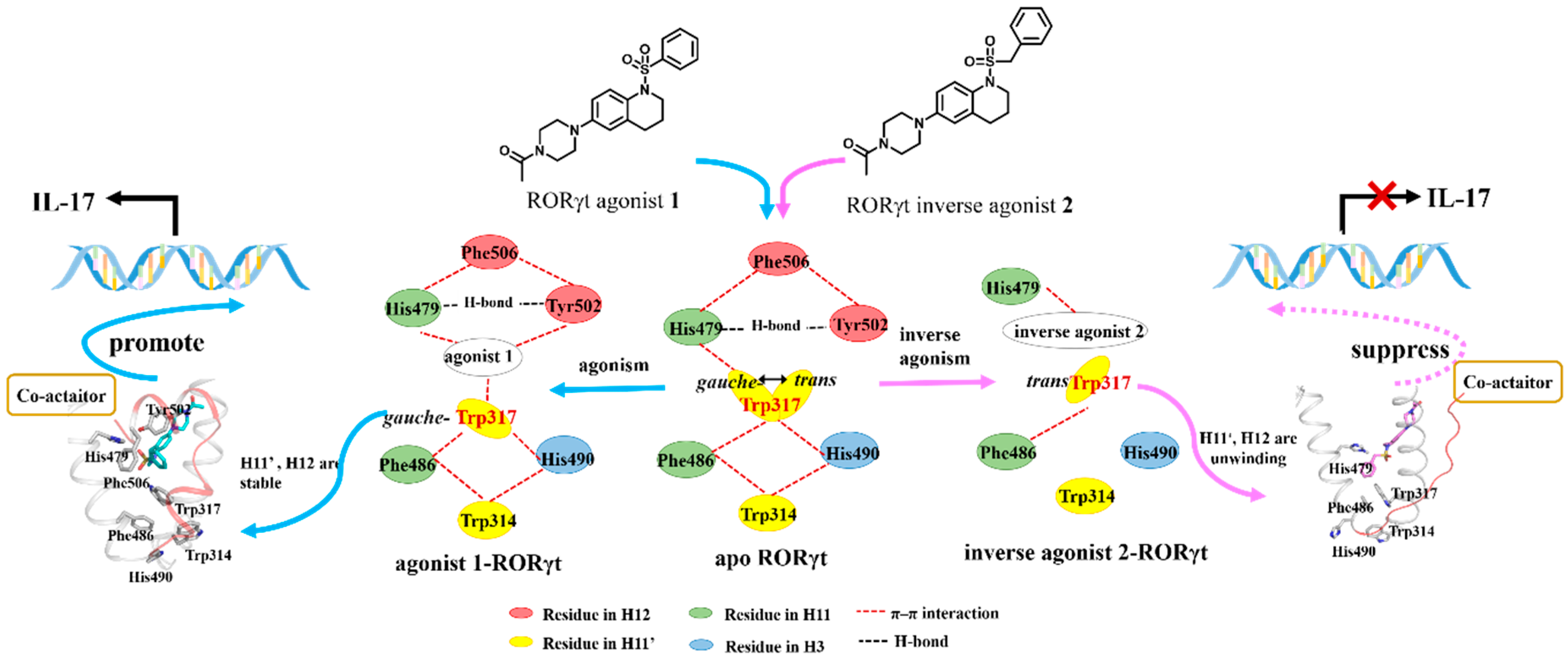 Molecules 23 03181 g007