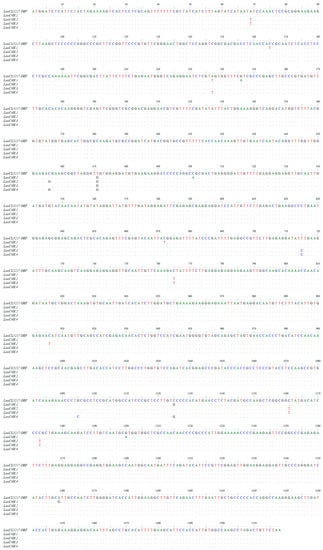 Molecules 23 03185 g0a1