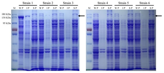 Molecules 23 03185 g0a3