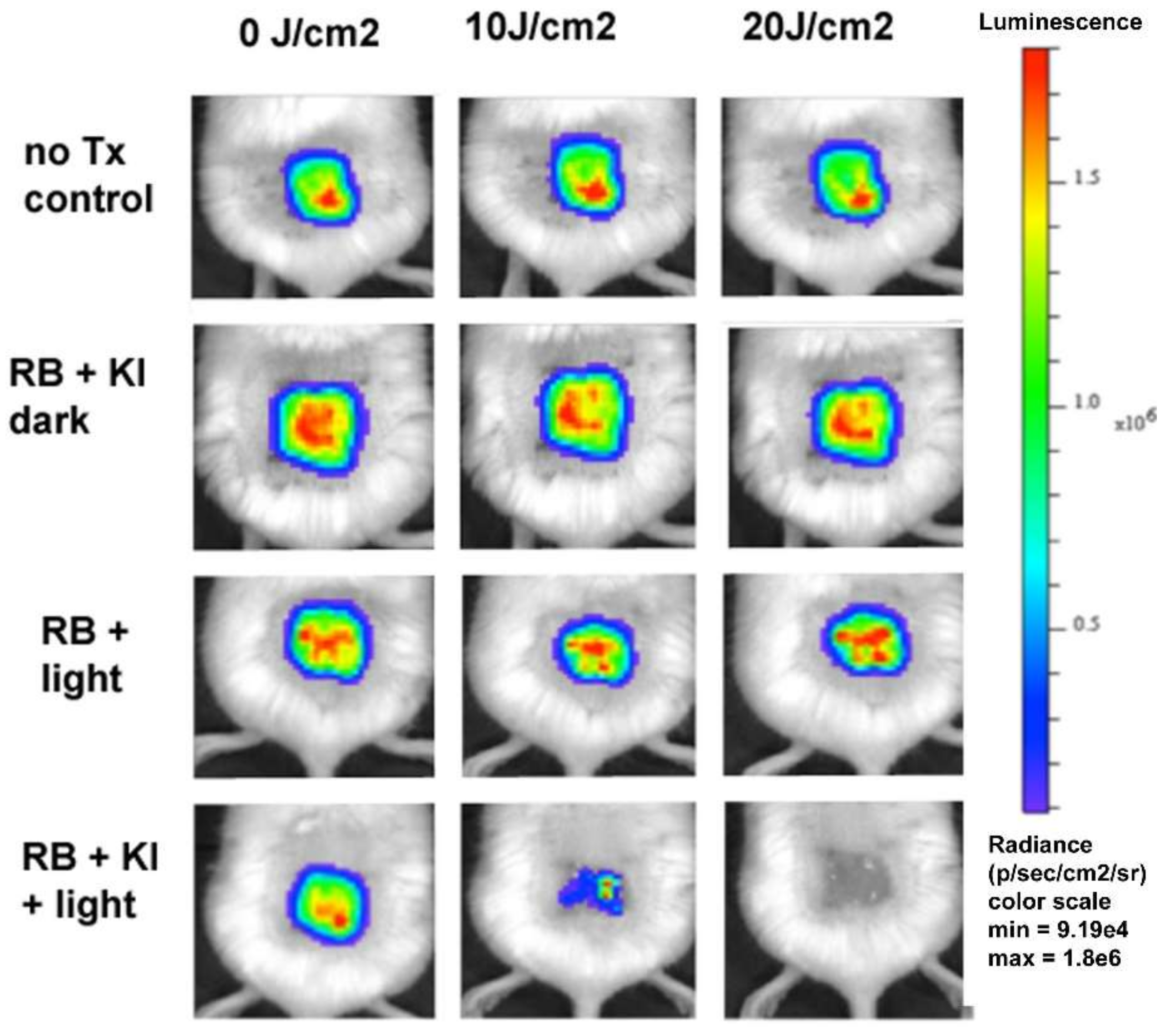 Molecules 23 03190 g010