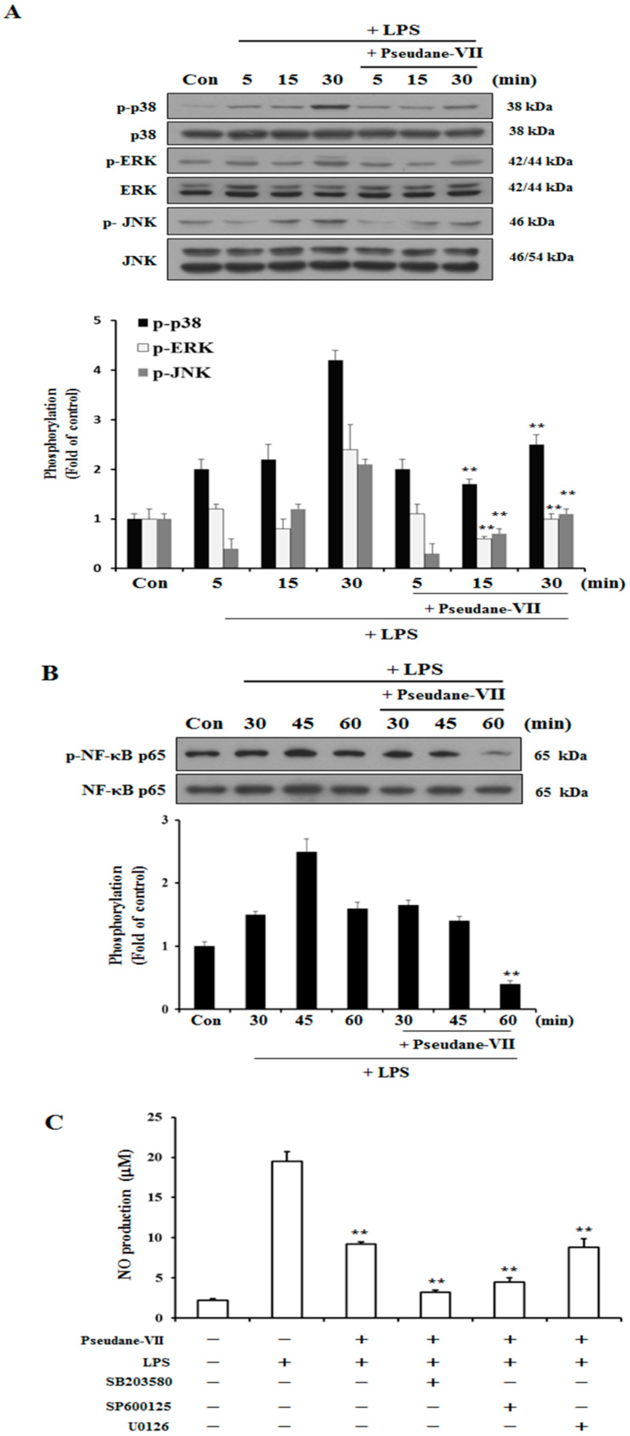 Molecules 23 03196 g005