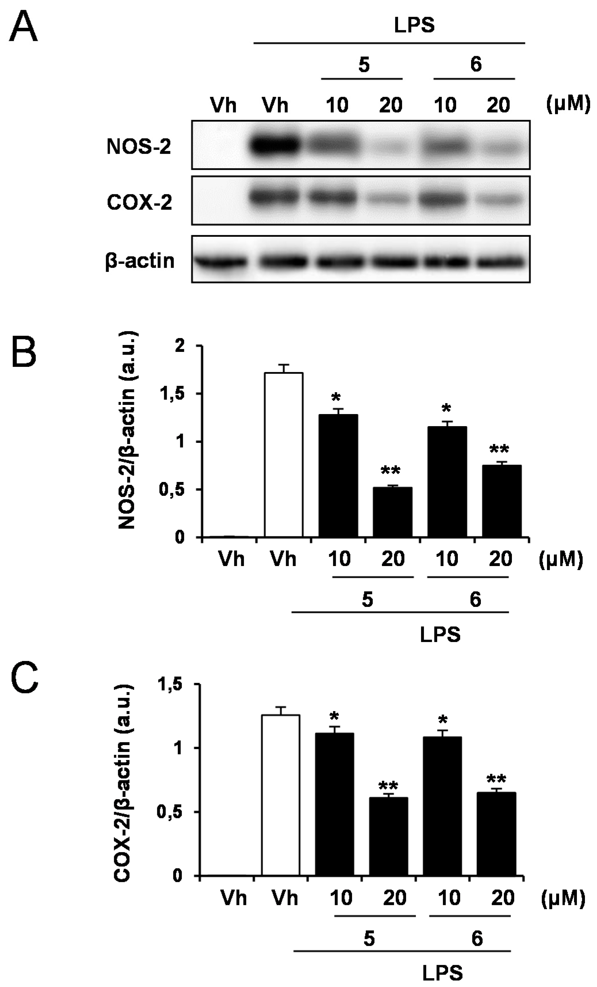 Molecules 23 03197 g004