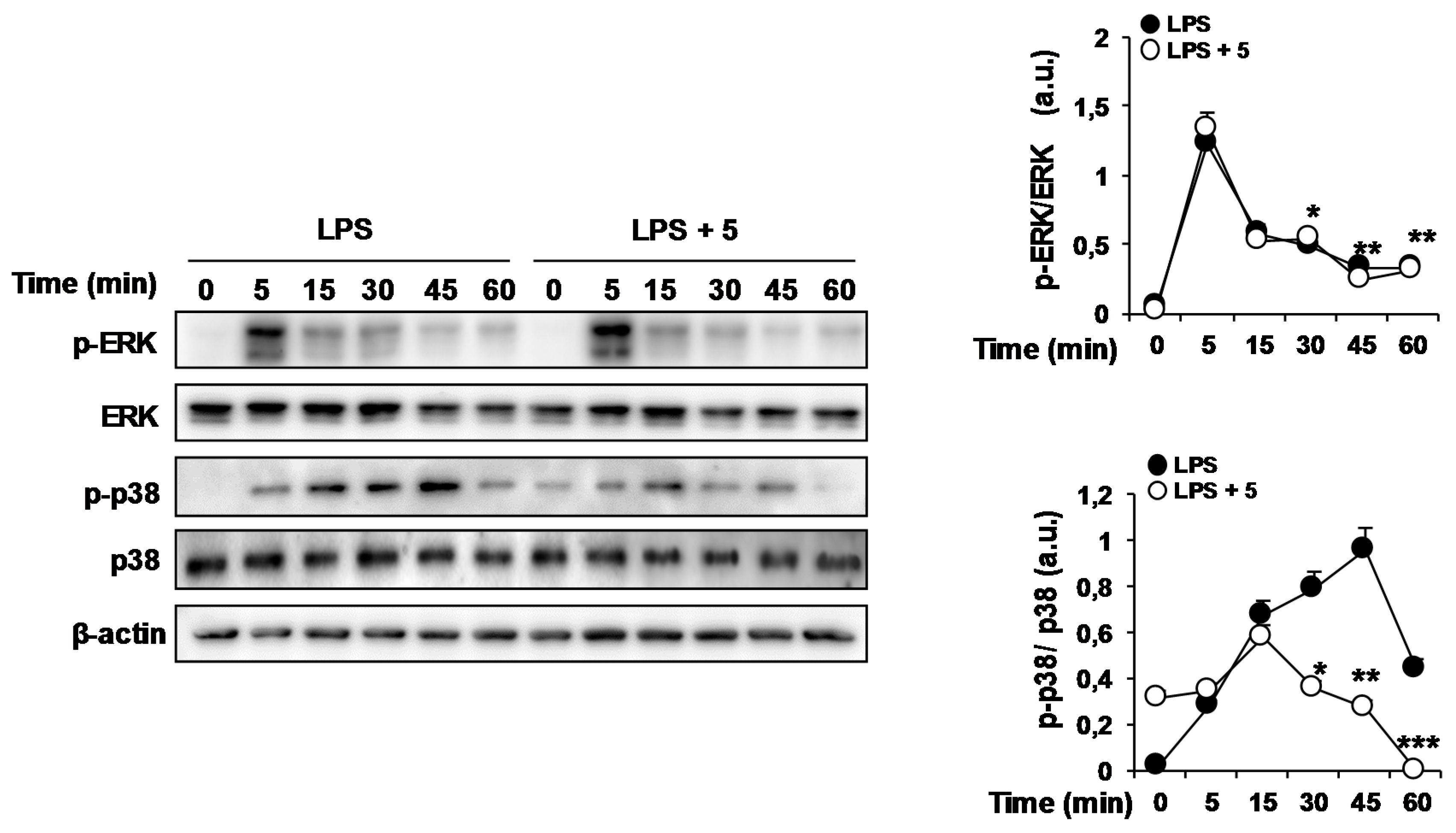 Molecules 23 03197 g007