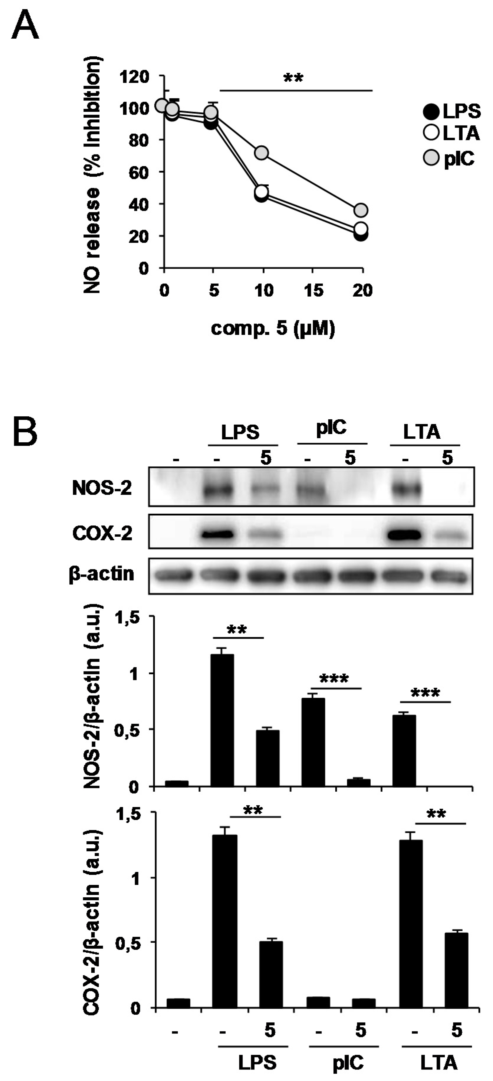 Molecules 23 03197 g008