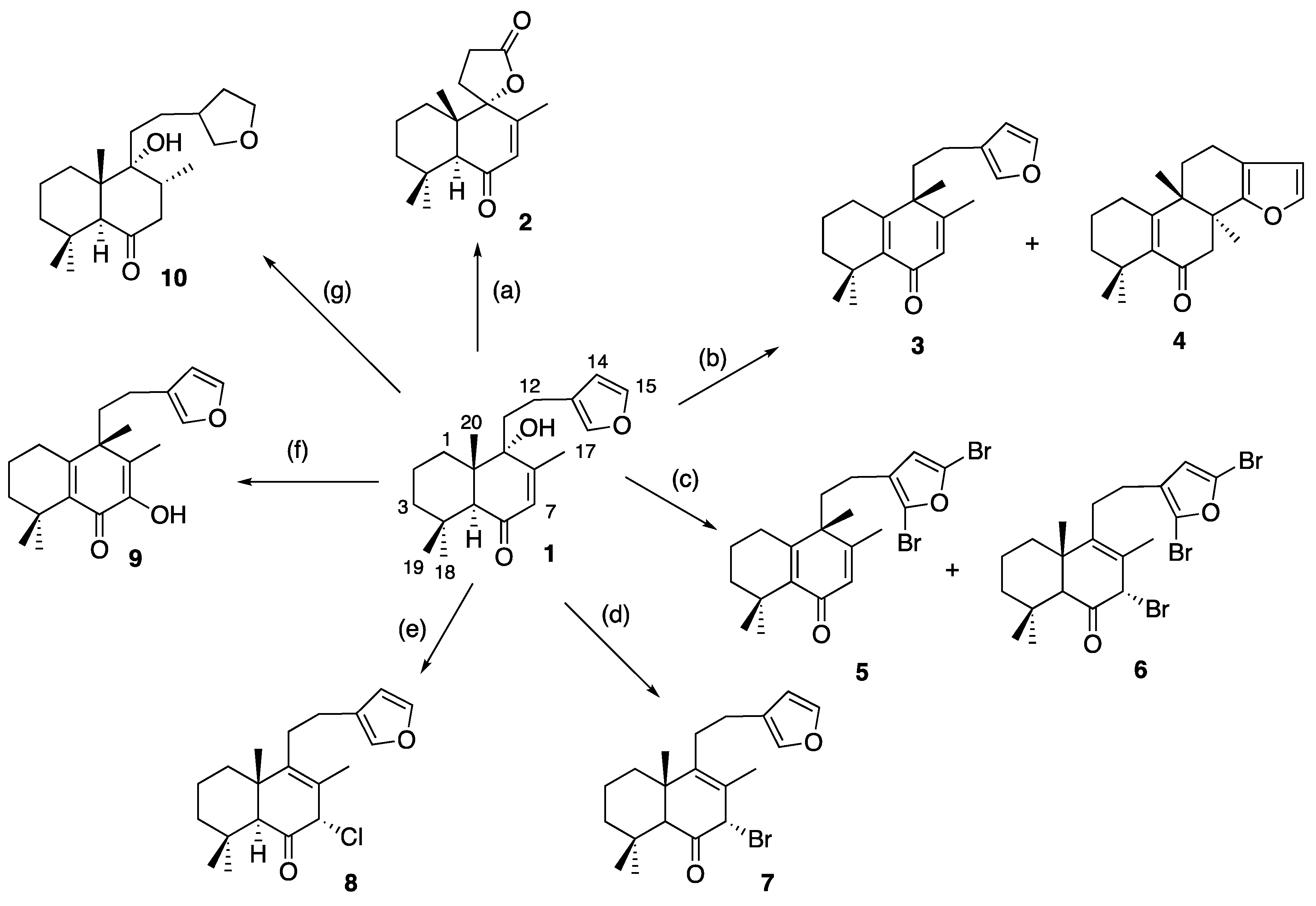 Molecules 23 03197 sch001