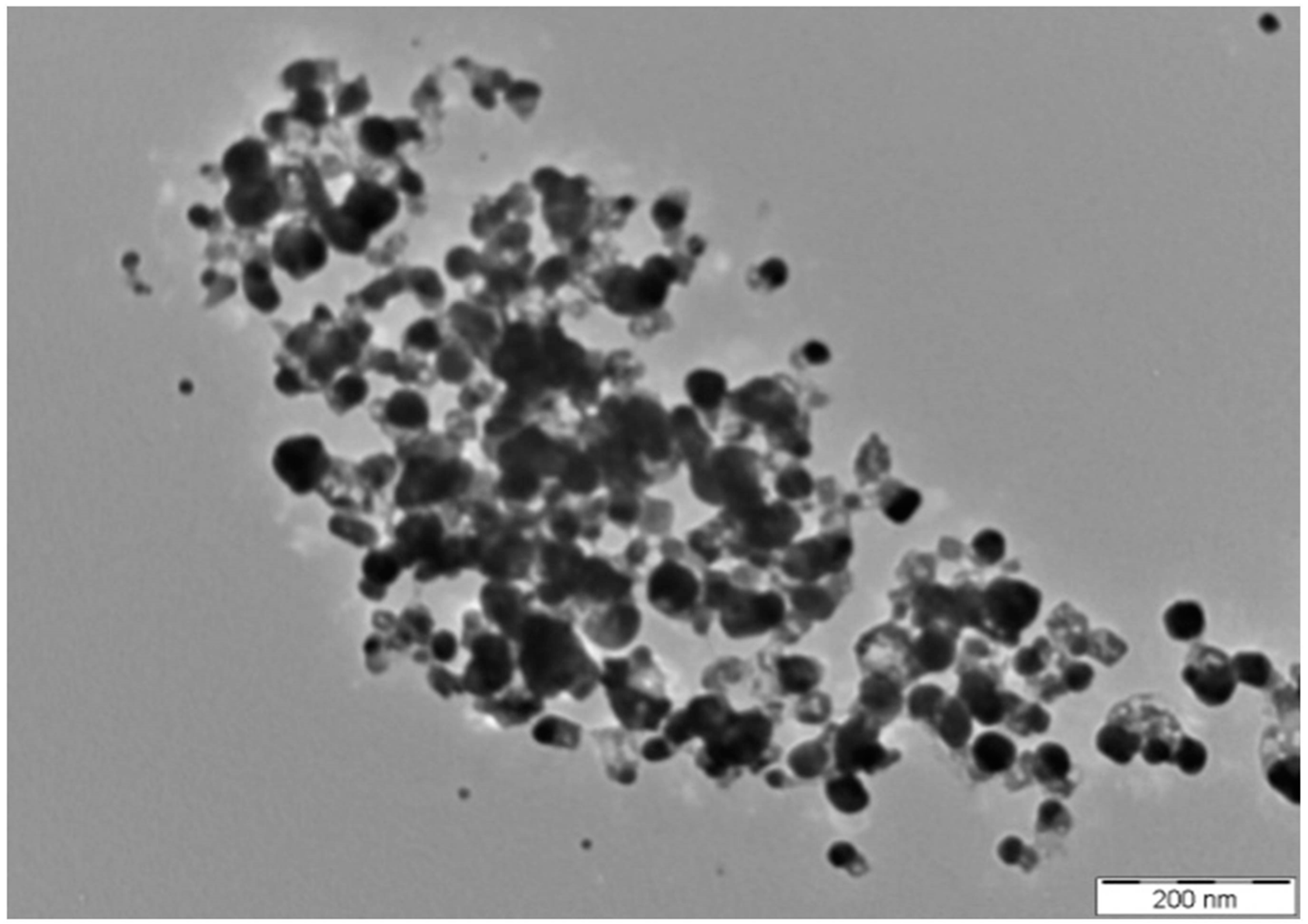 Molecules 23 03220 g004