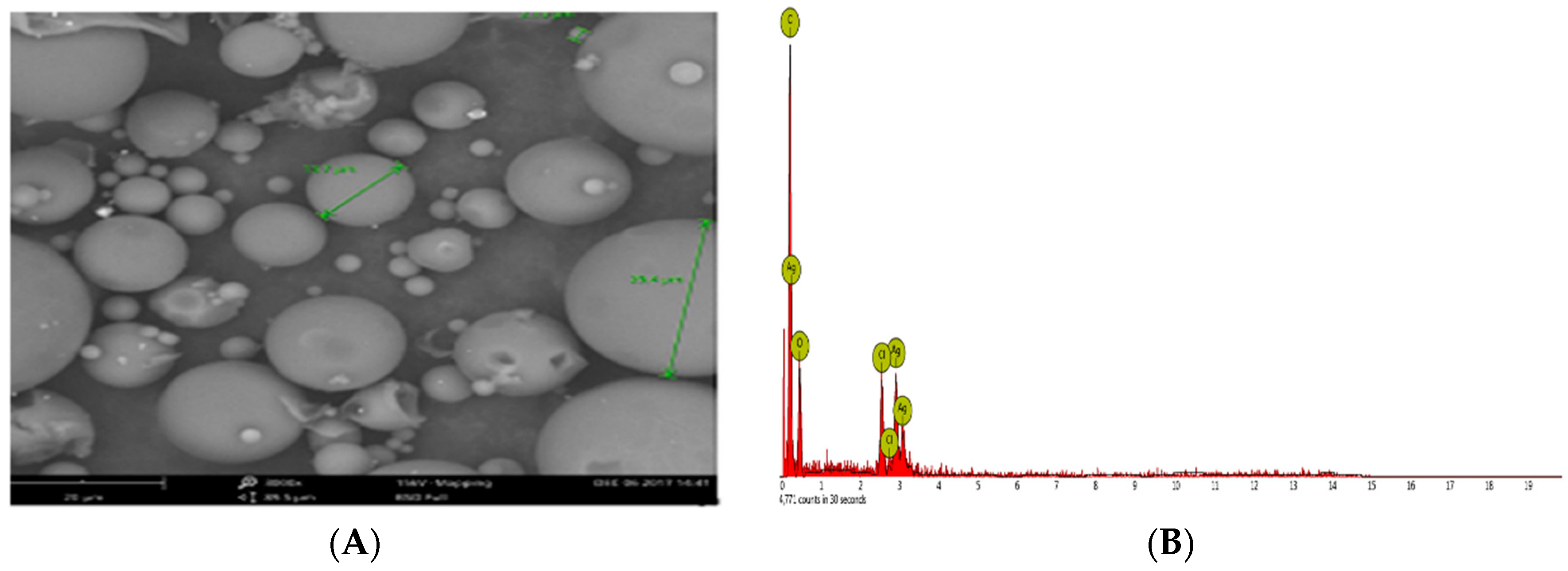 Molecules 23 03220 g005