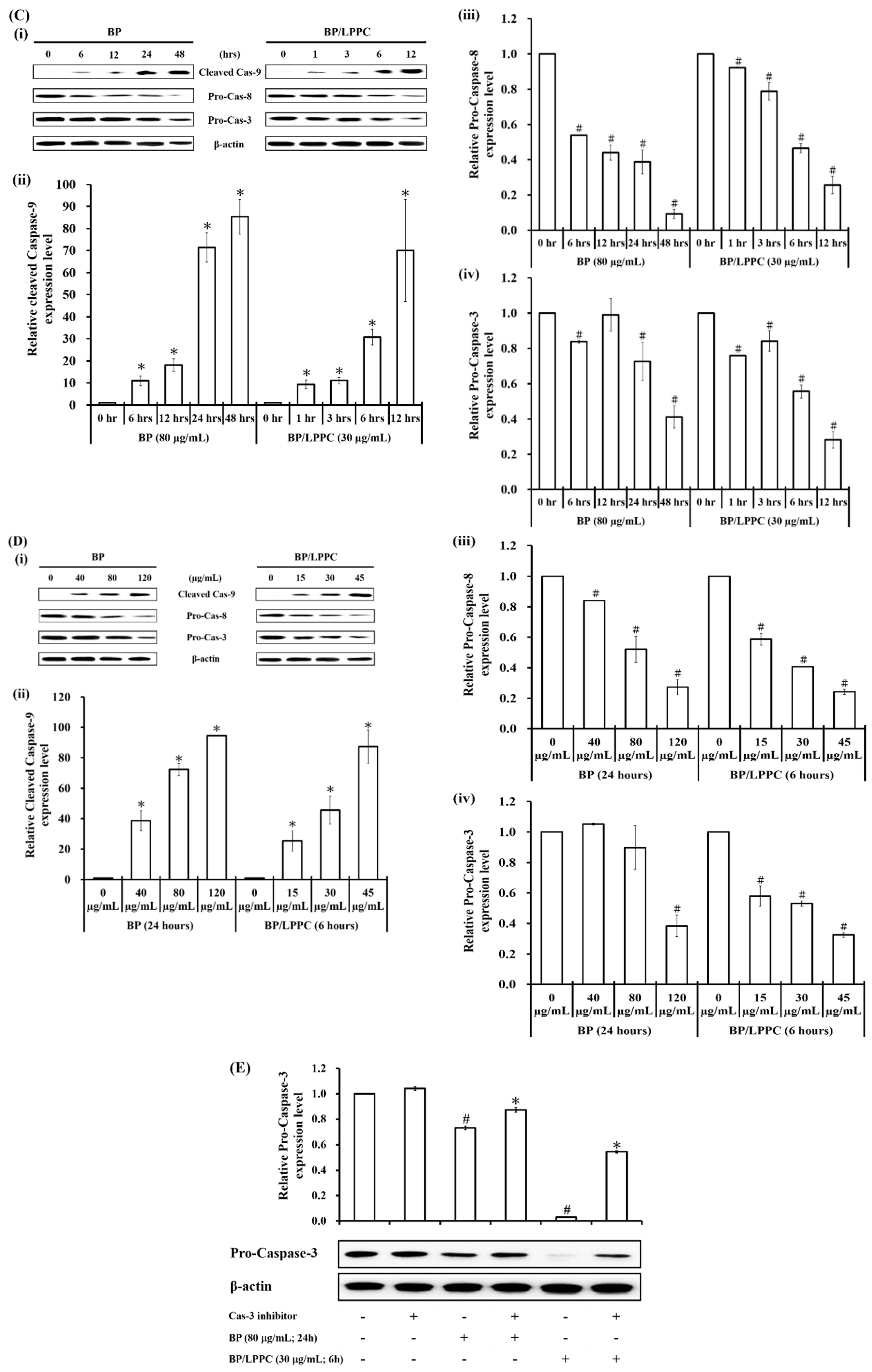 Molecules 23 03224 g003b Molecules 23 03224 g003b