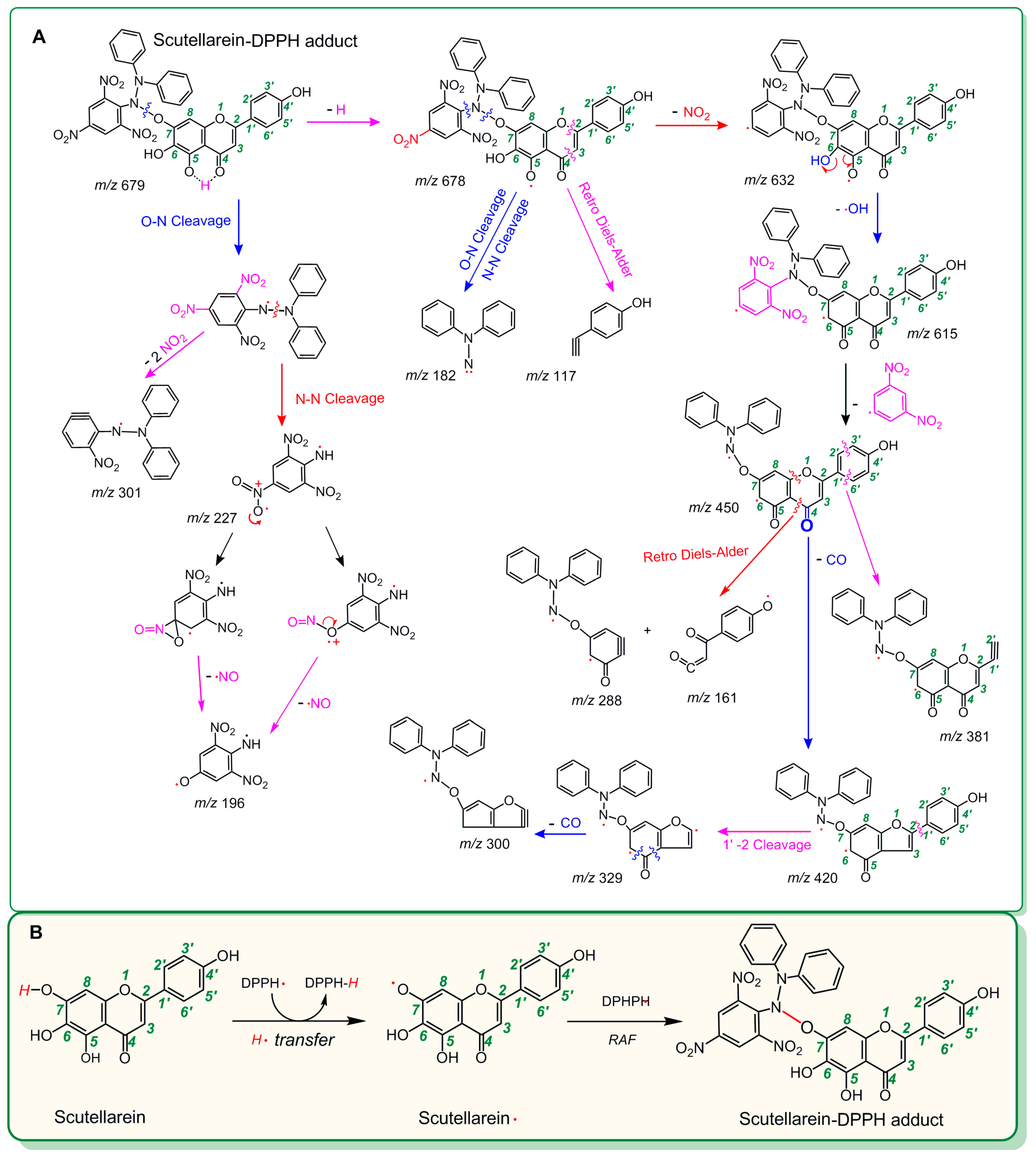 Molecules 23 03225 g003 Molecules 23 03225 g003