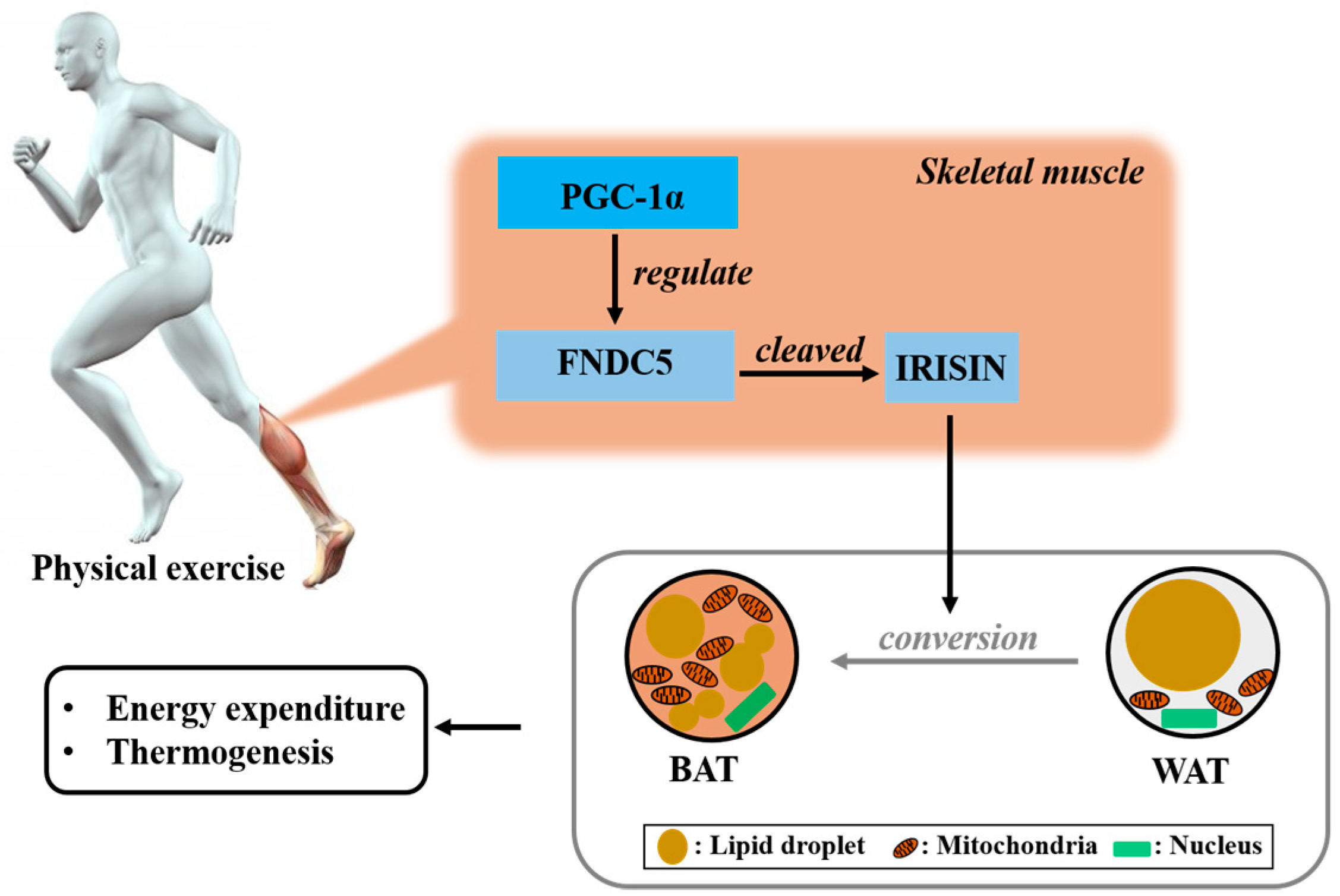 Molecules 23 03229 g001