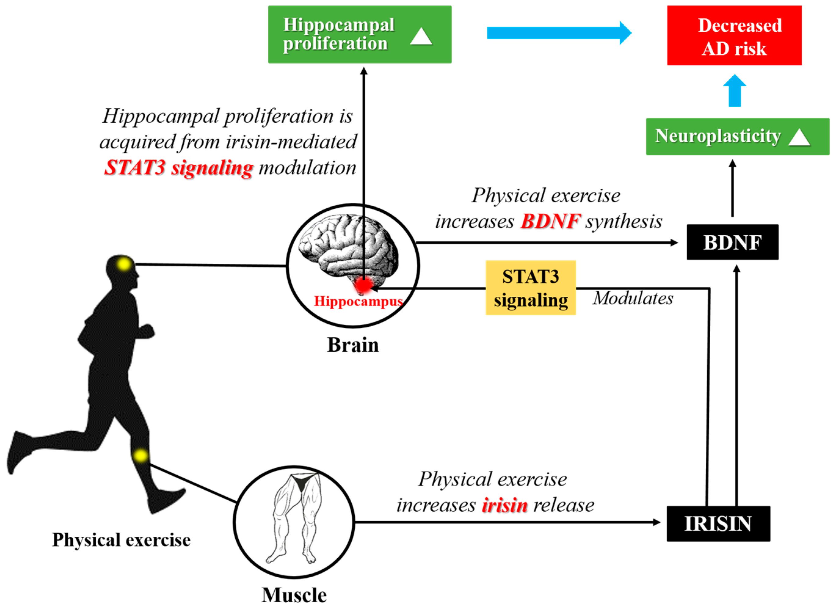Molecules 23 03229 g002
