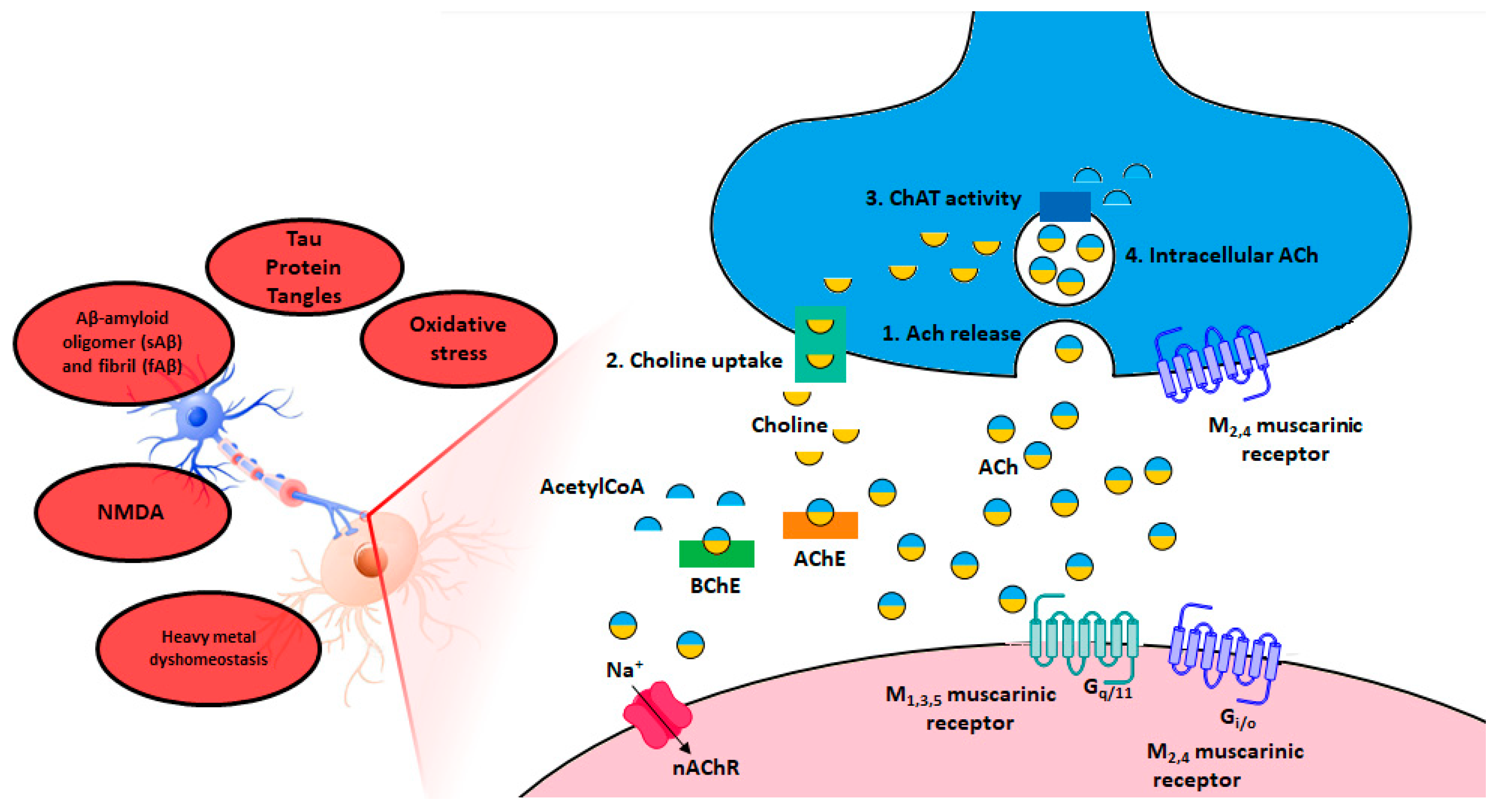 Molecules 23 03230 g002 Molecules 23 03230 g002