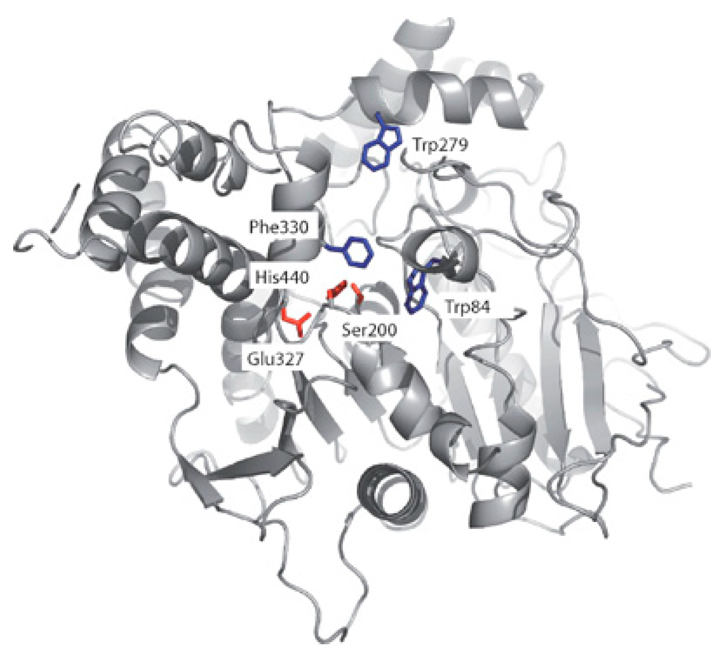 Molecules 23 03230 g018 Molecules 23 03230 g018