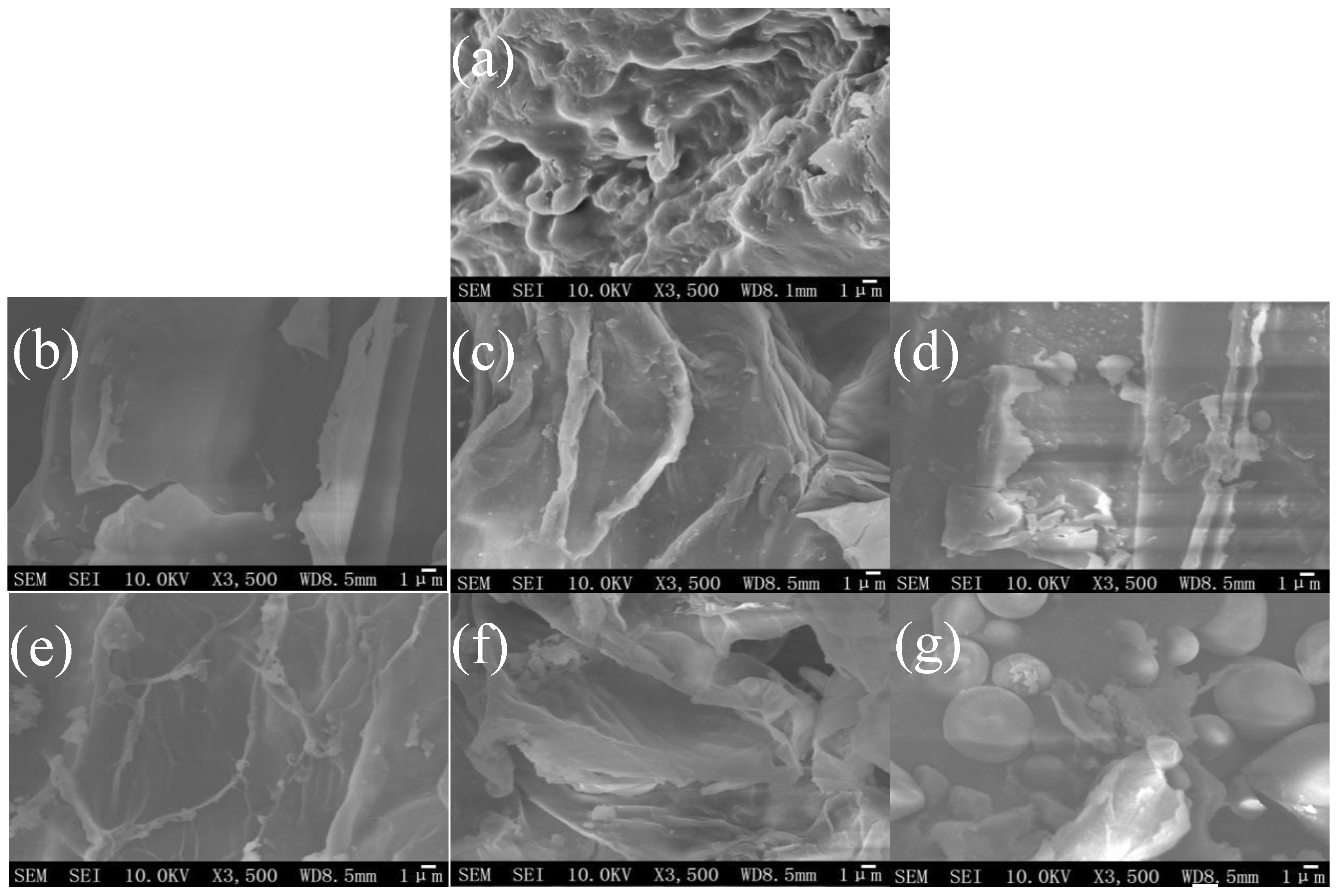 Molecules 23 03233 g003