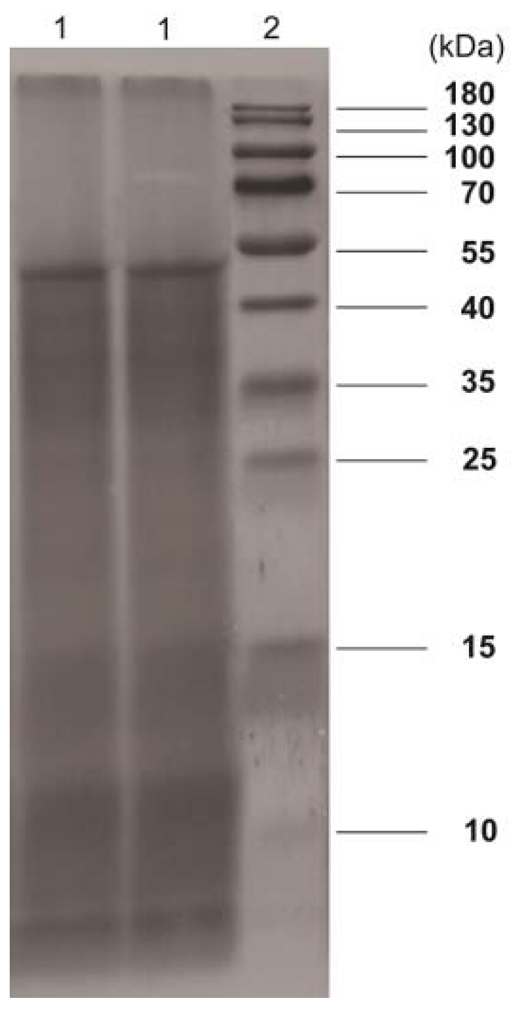 Molecules 23 03235 g004