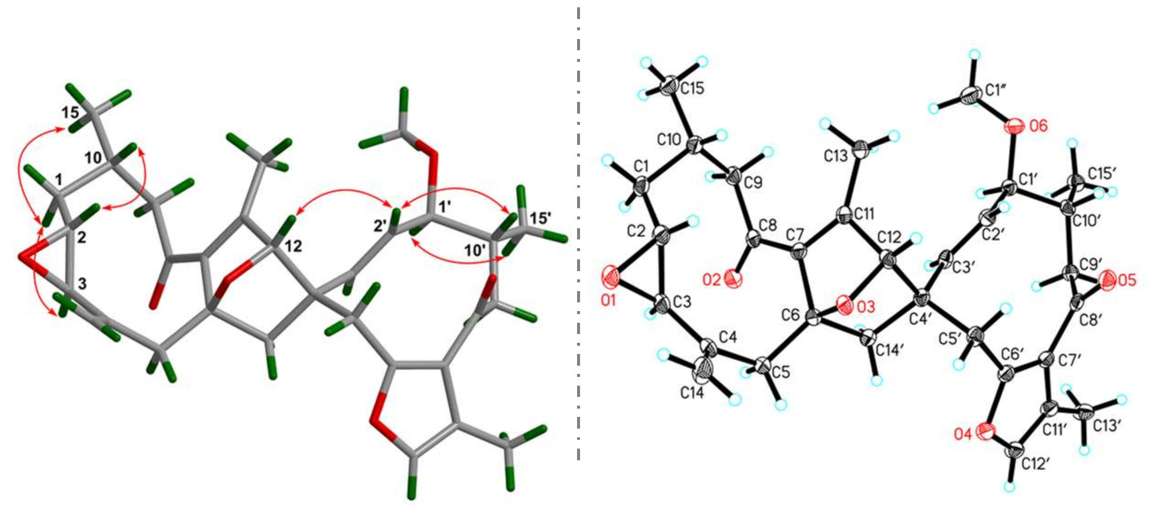 Molecules 23 03239 g003