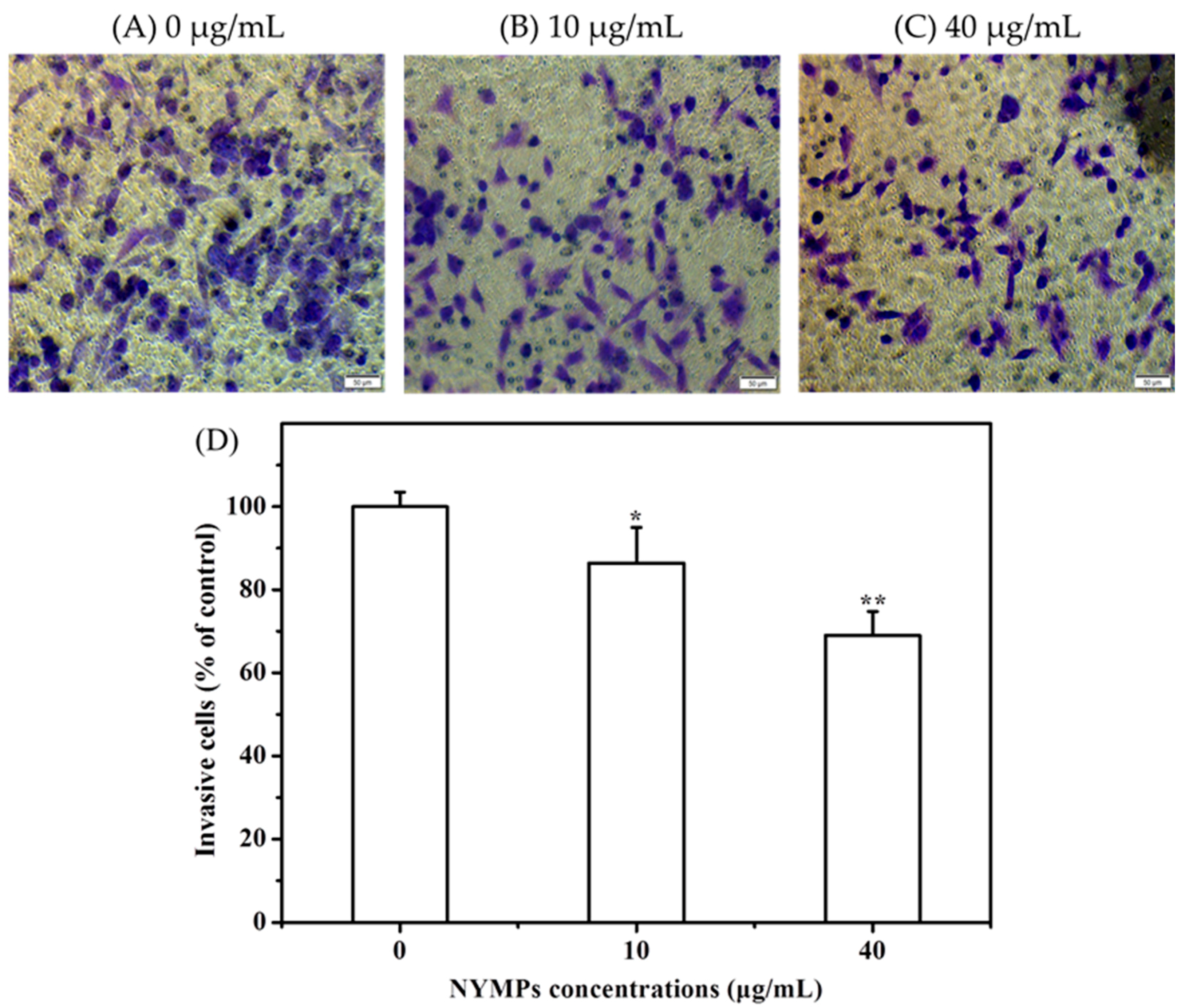 Molecules 23 03242 g003