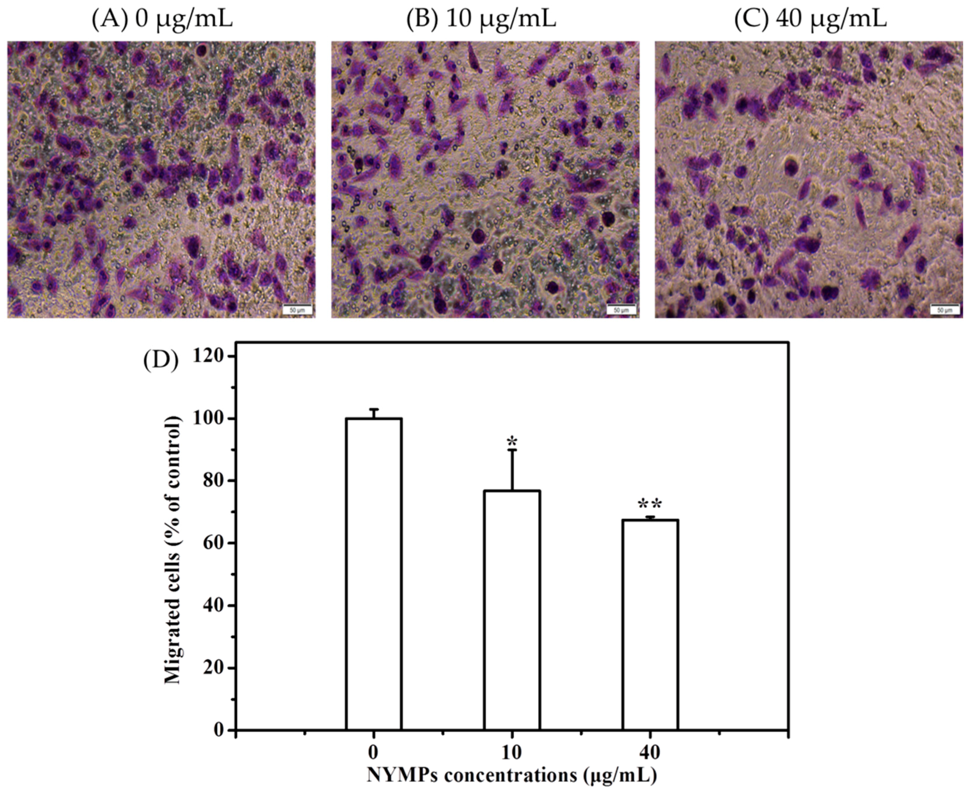 Molecules 23 03242 g004