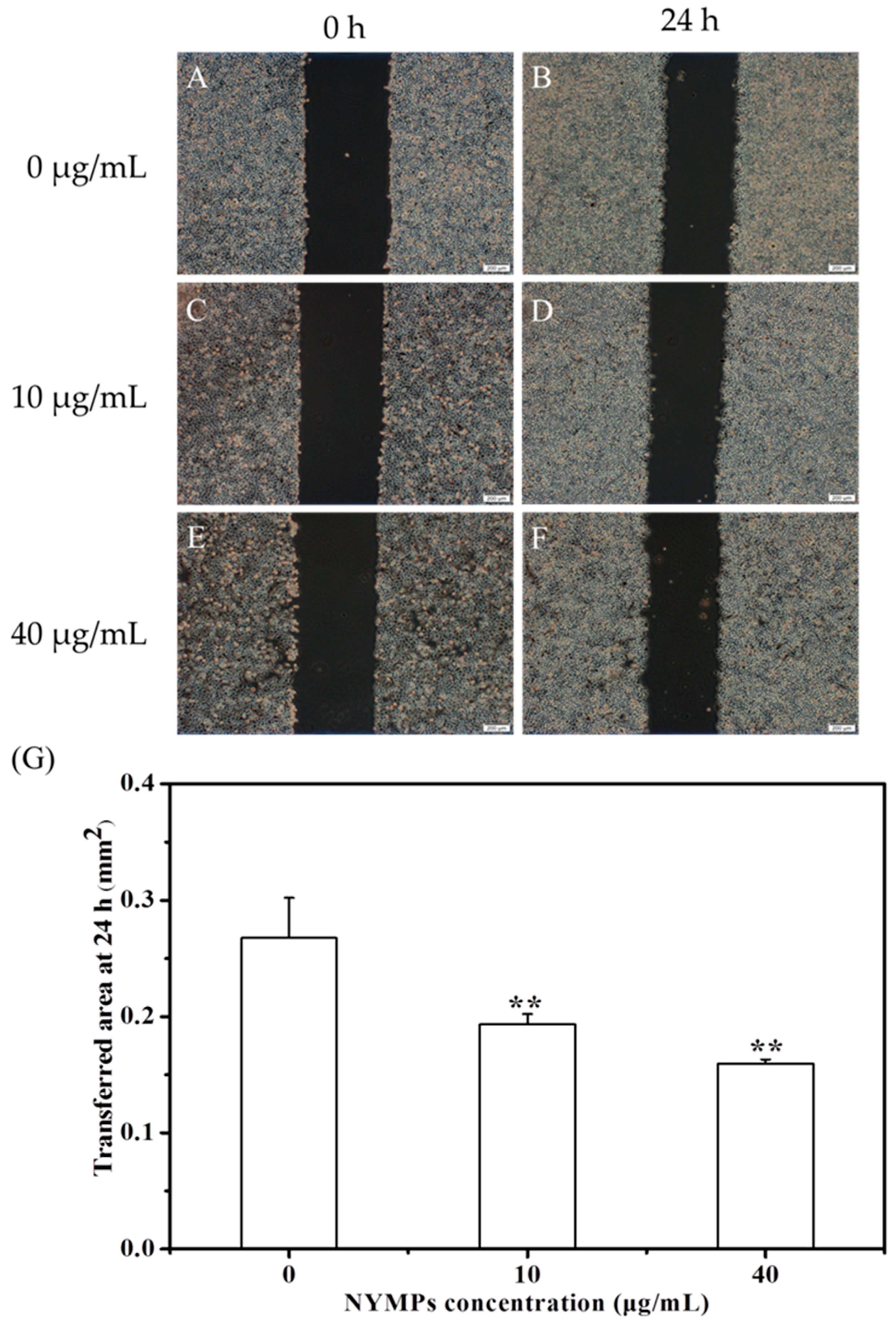 Molecules 23 03242 g005