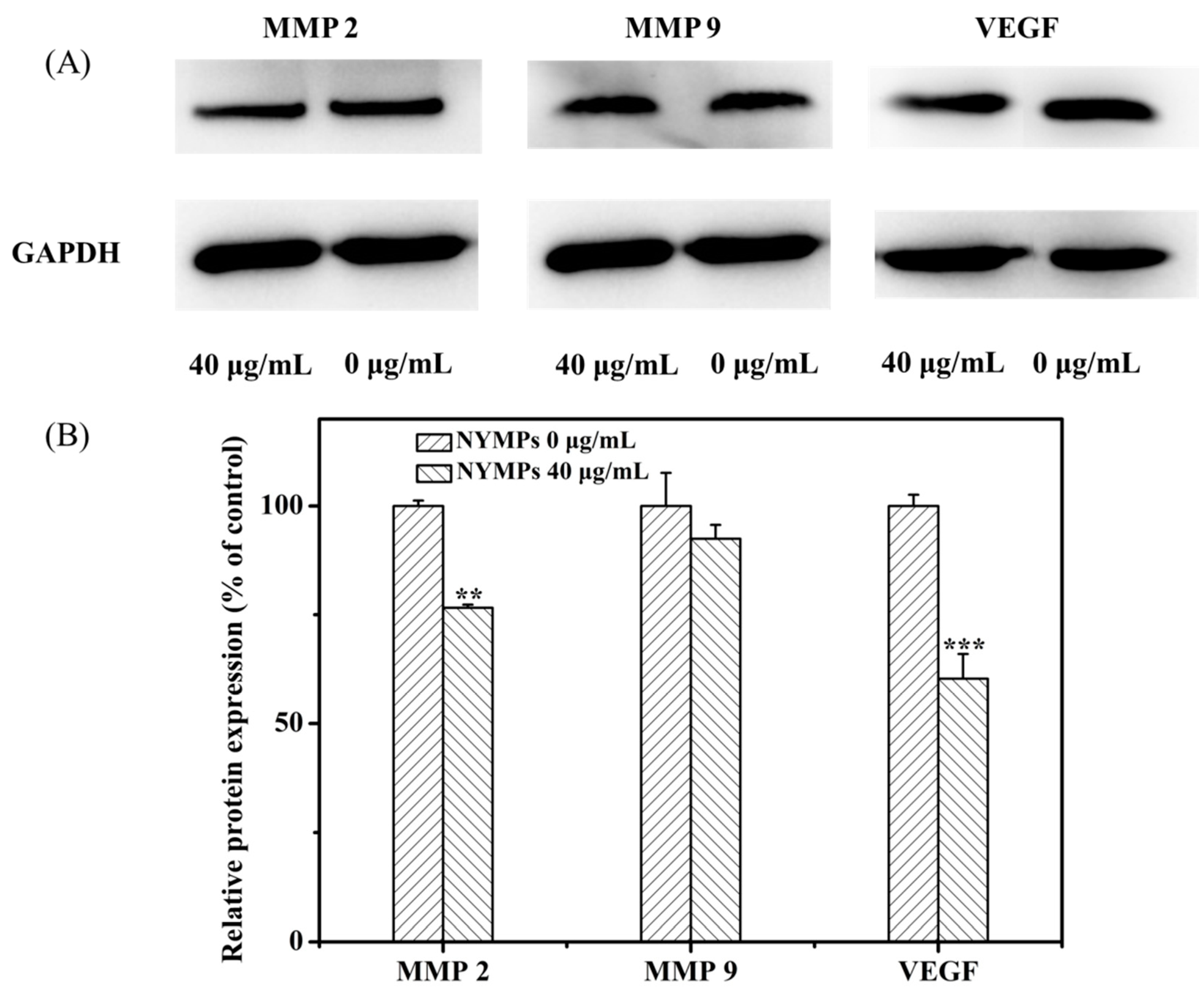 Molecules 23 03242 g006