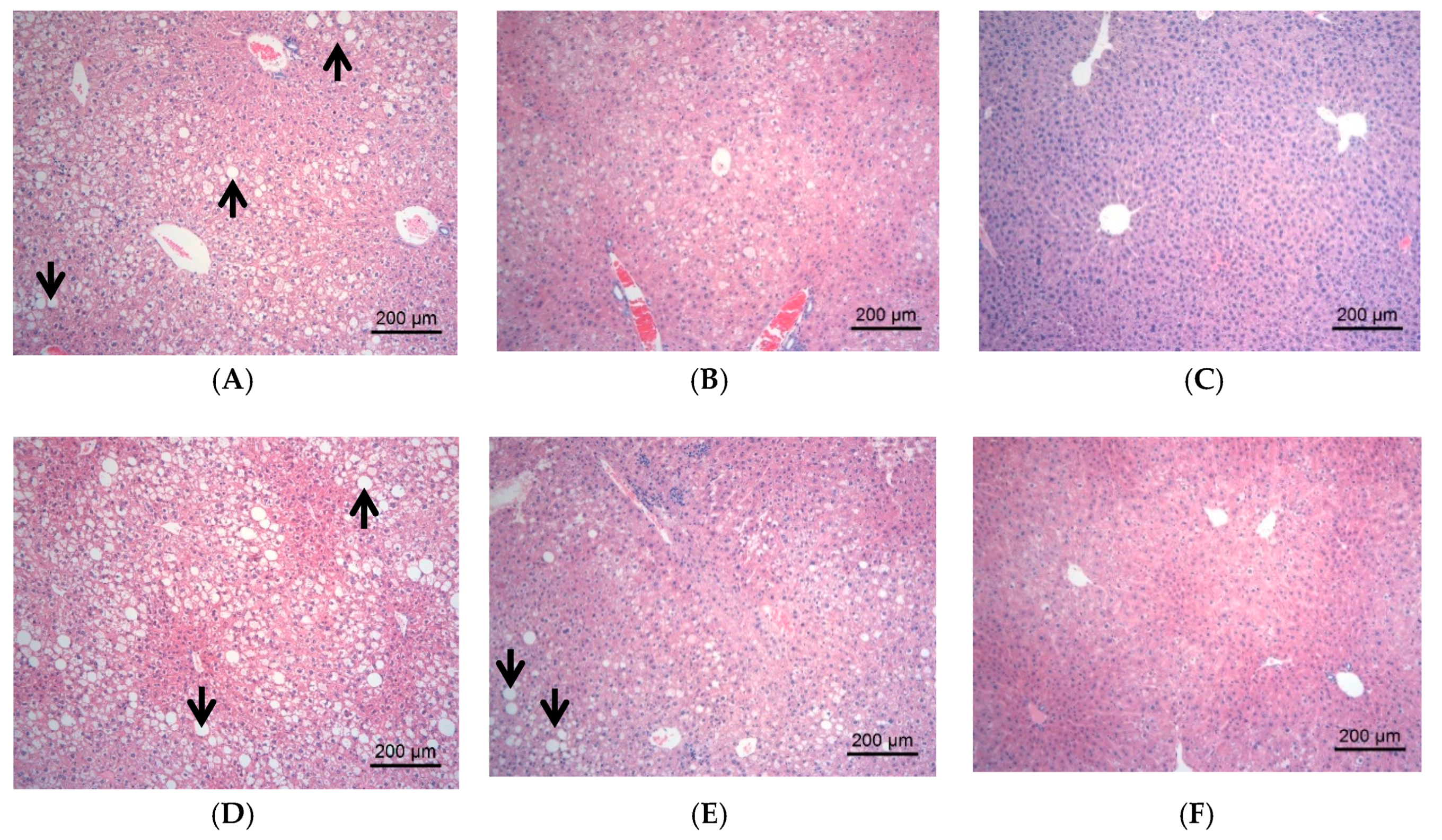 Molecules 23 03245 g003 Molecules 23 03245 g003