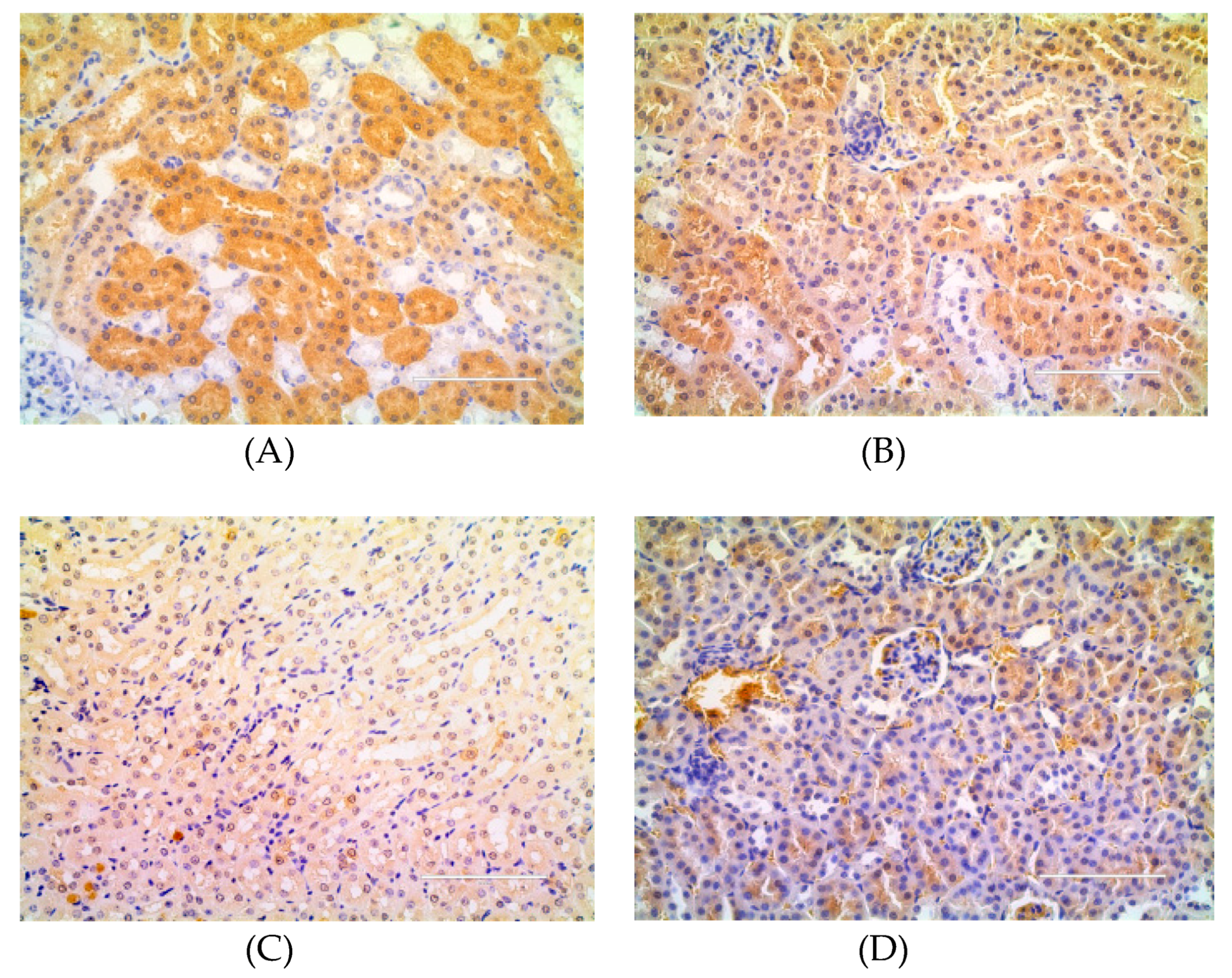 Molecules 23 03245 g007 Molecules 23 03245 g007
