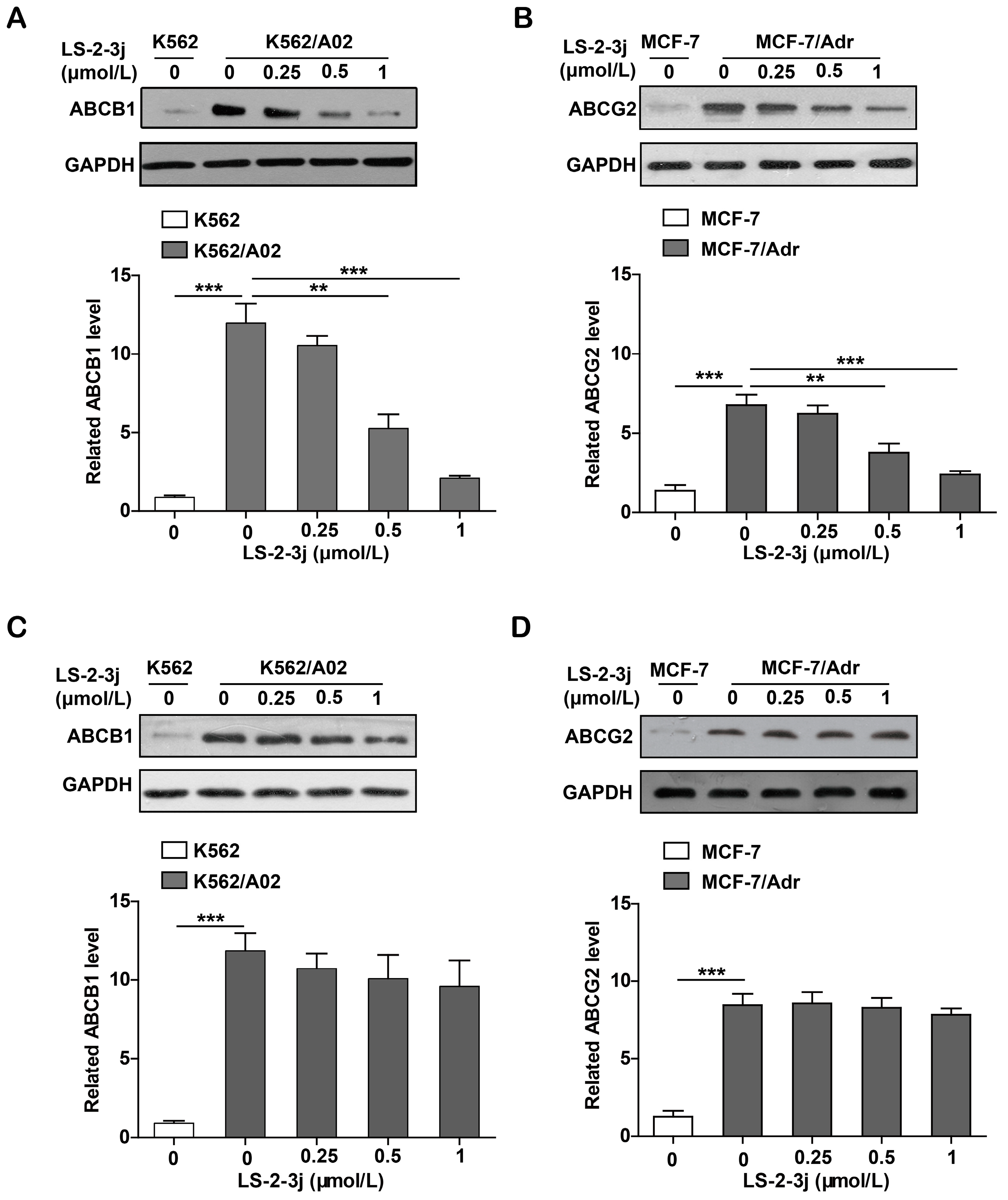 Molecules 23 03264 g006 Molecules 23 03264 g006
