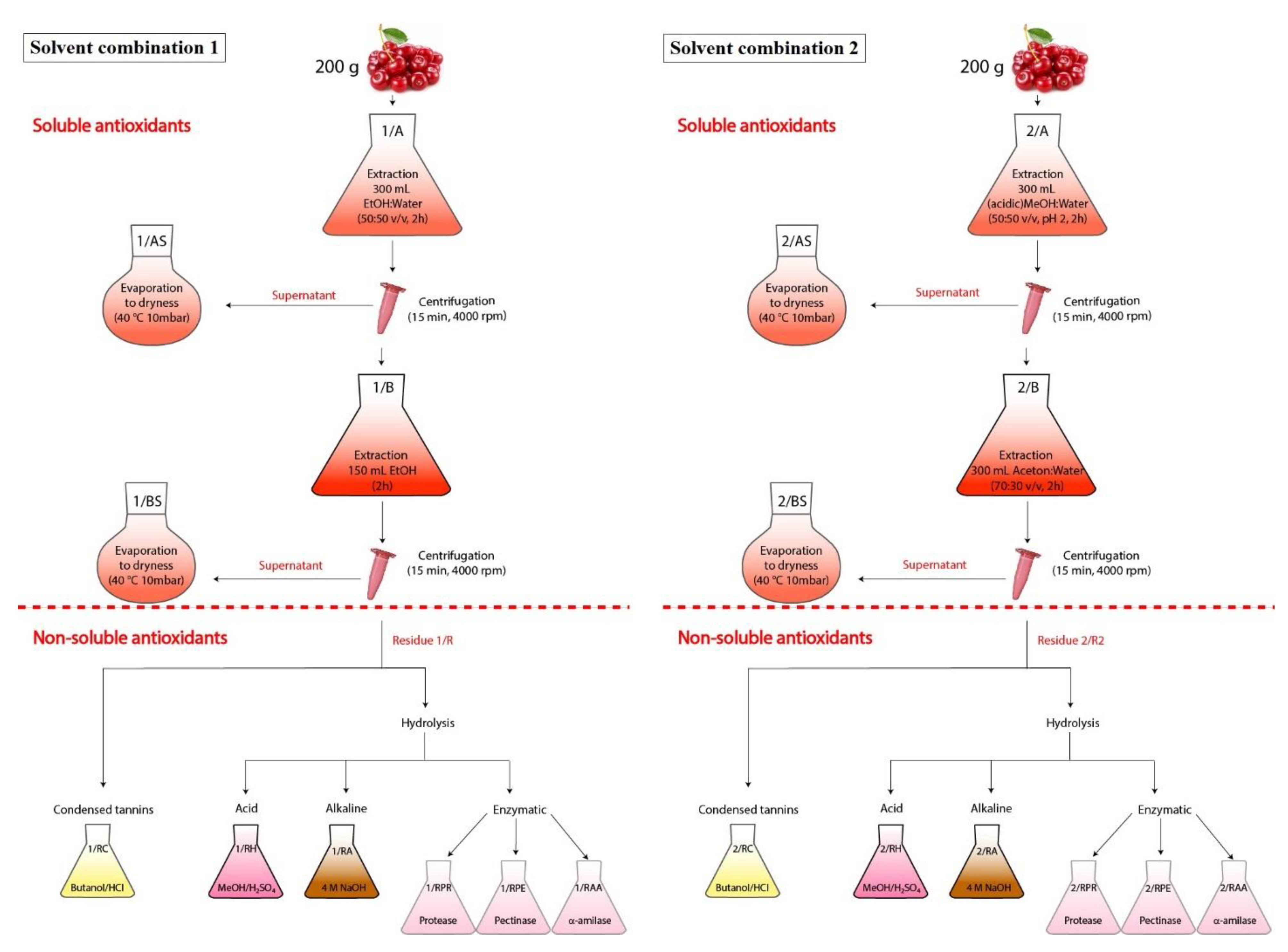 Molecules 23 03278 g006