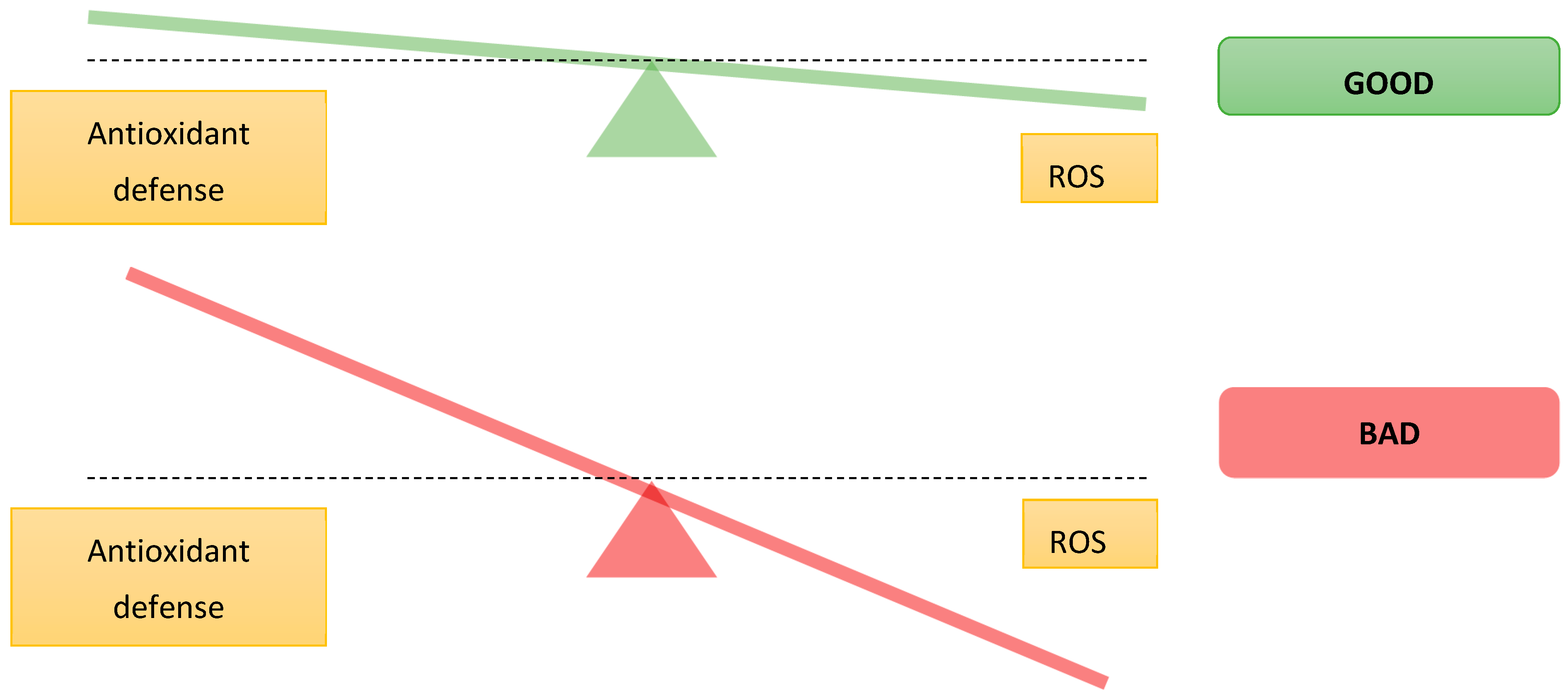 Molecules 23 03283 g002
