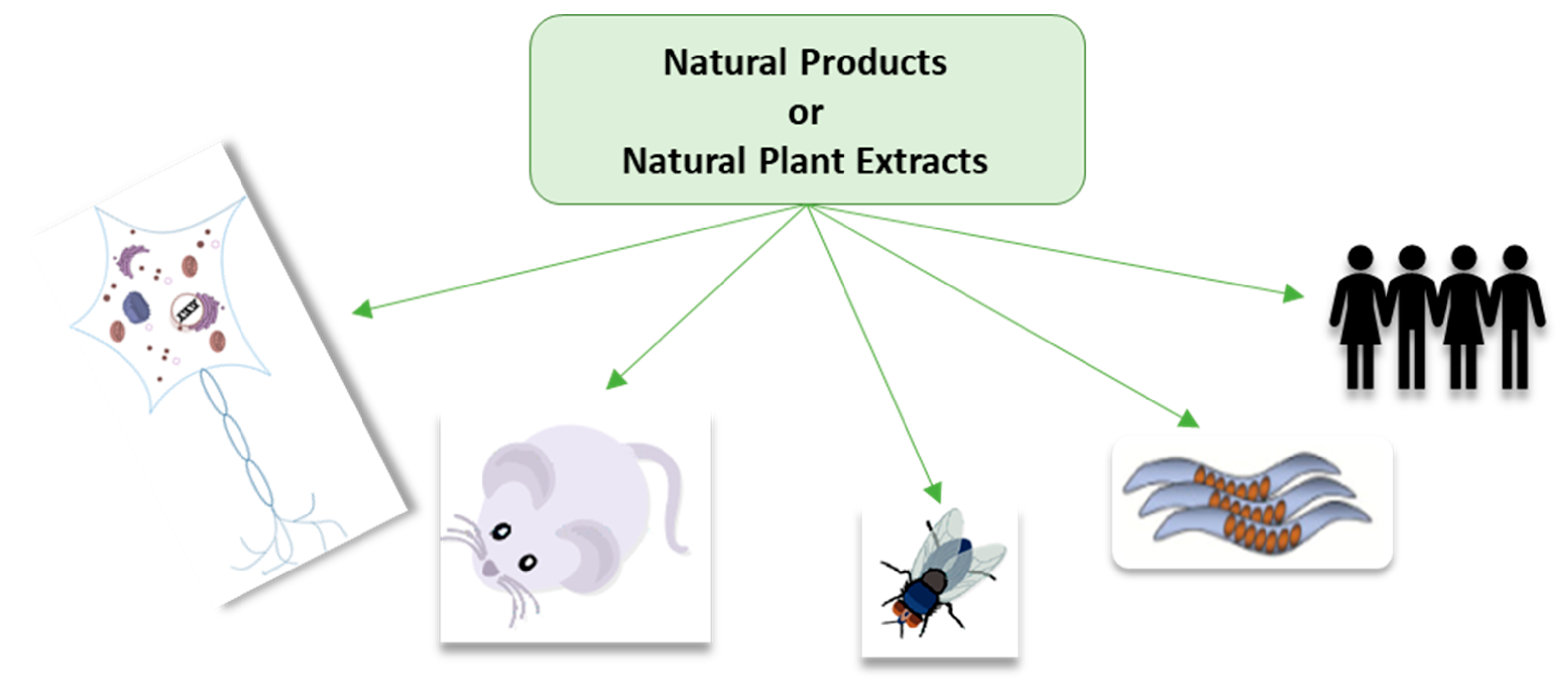 Molecules 23 03283 g005