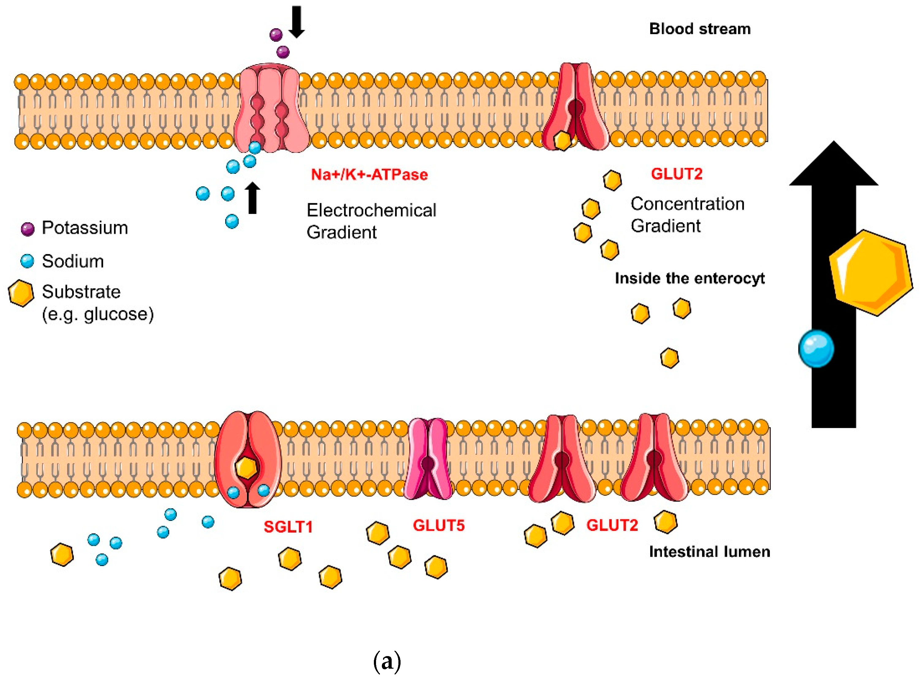 Molecules 23 03290 i001