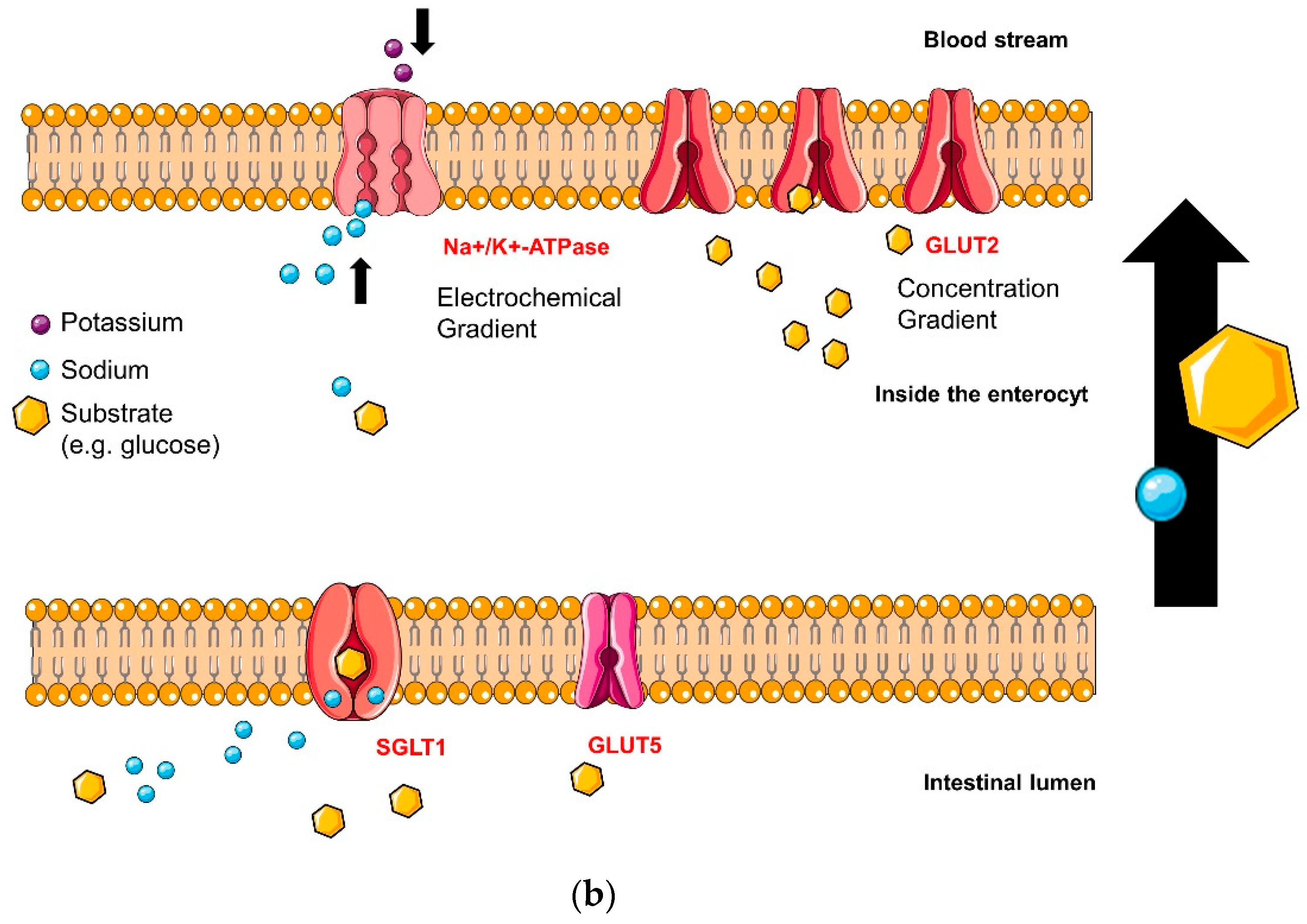 Molecules 23 03290 i002