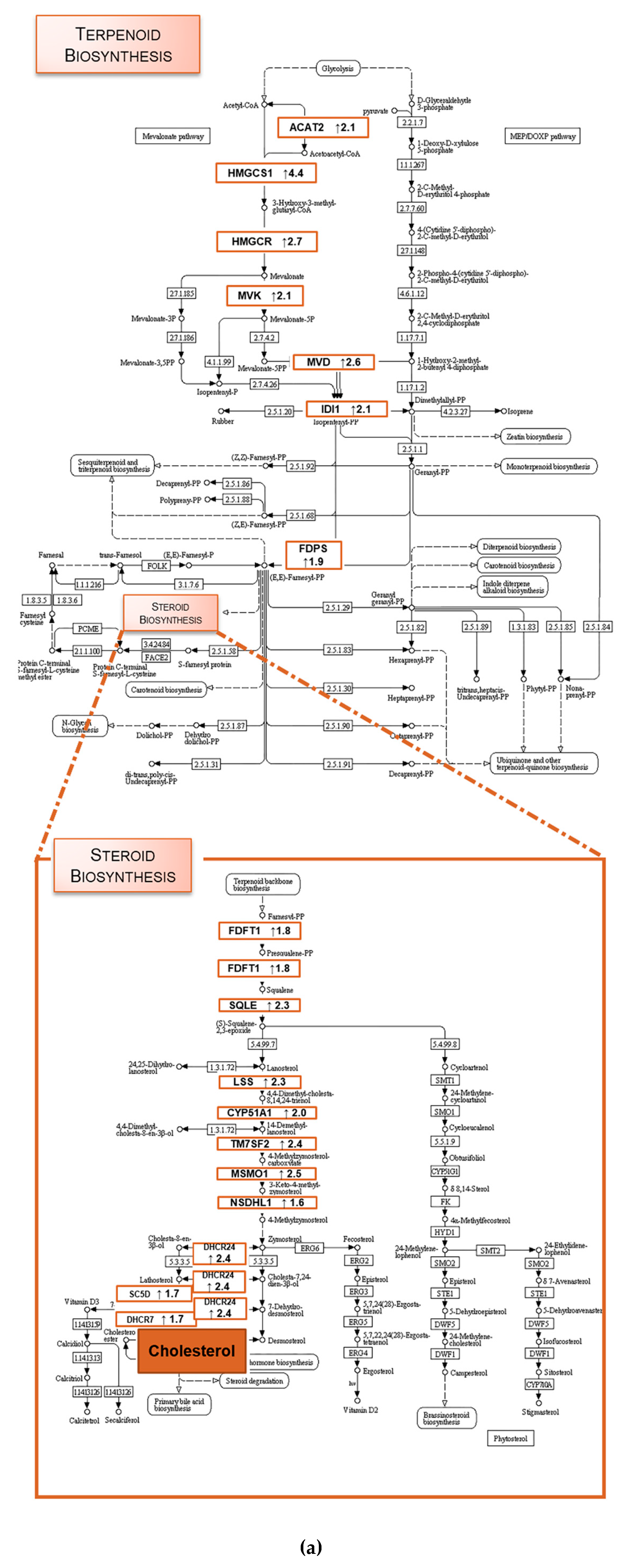 Molecules 23 03301 g005a