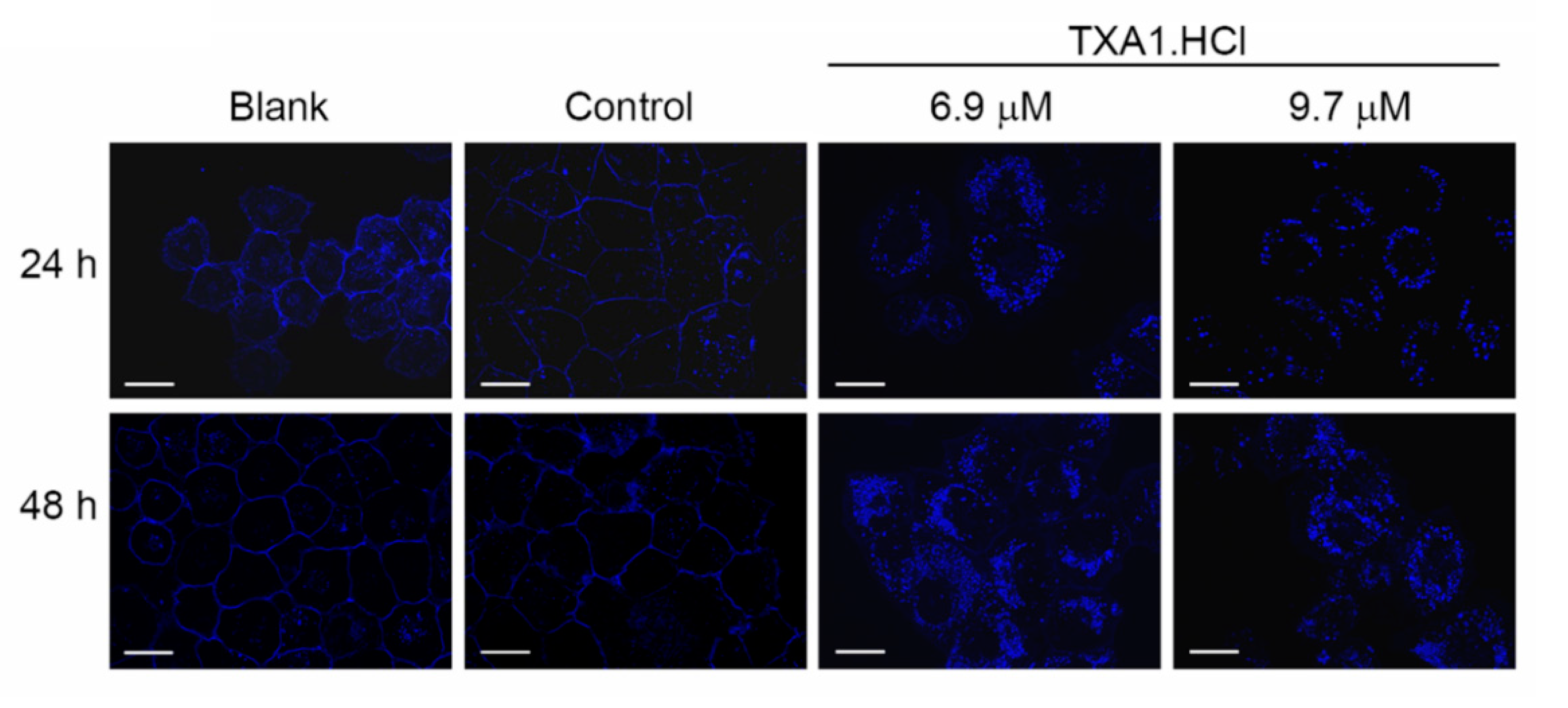 Molecules 23 03301 g006