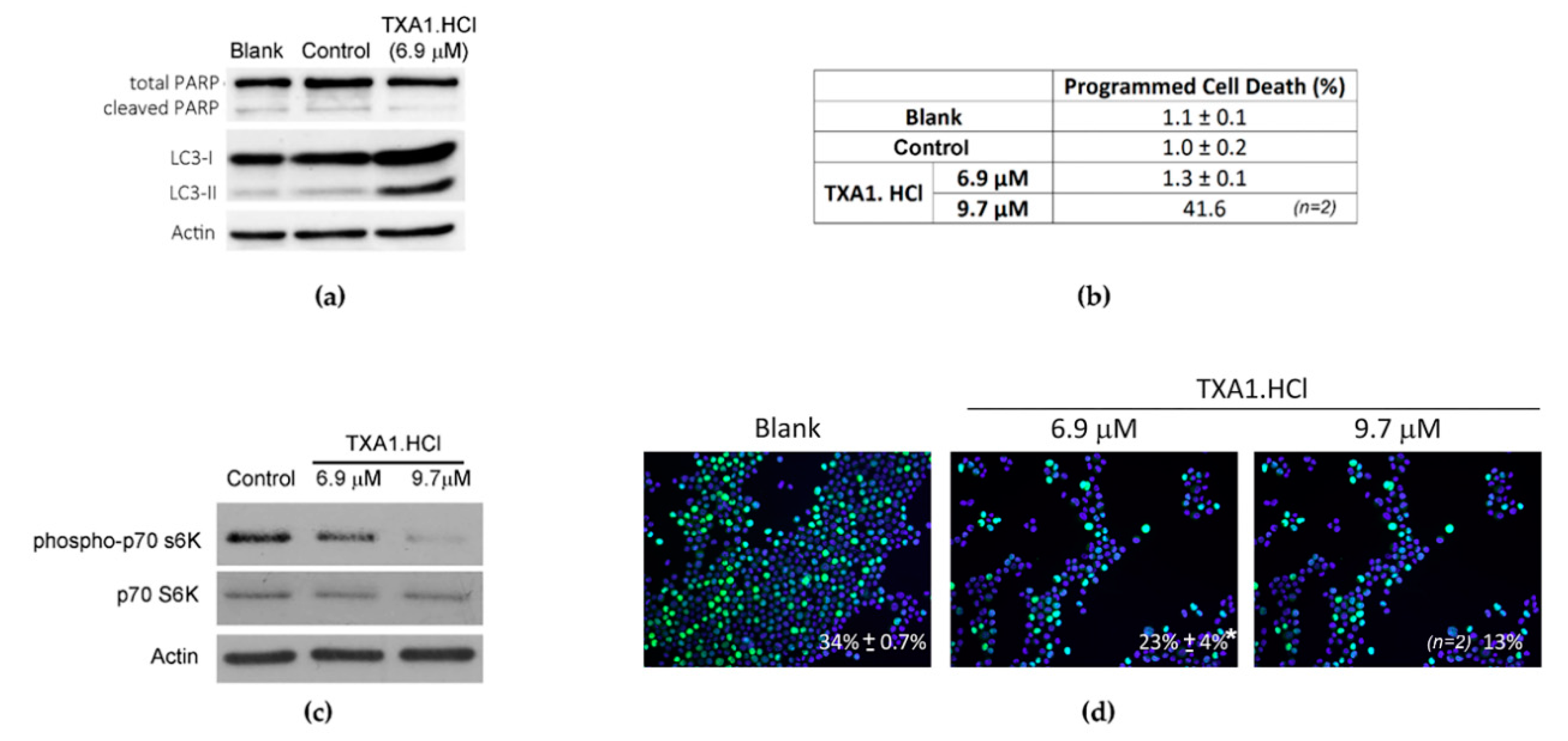 Molecules 23 03301 g008