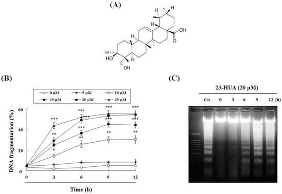 Molecules 23 03306 g001a Molecules 23 03306 g001a
