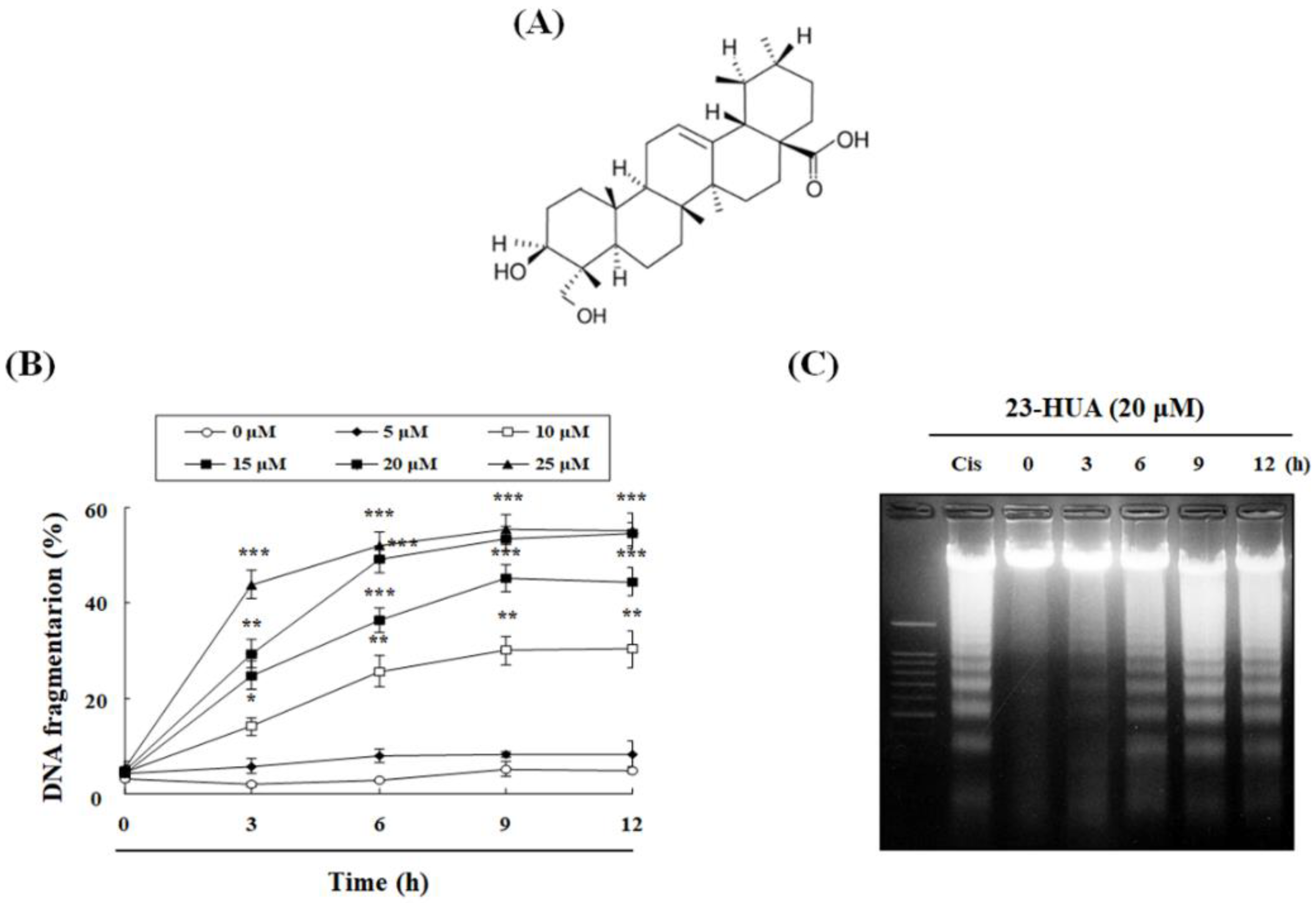 Molecules 23 03306 g001a Molecules 23 03306 g001a