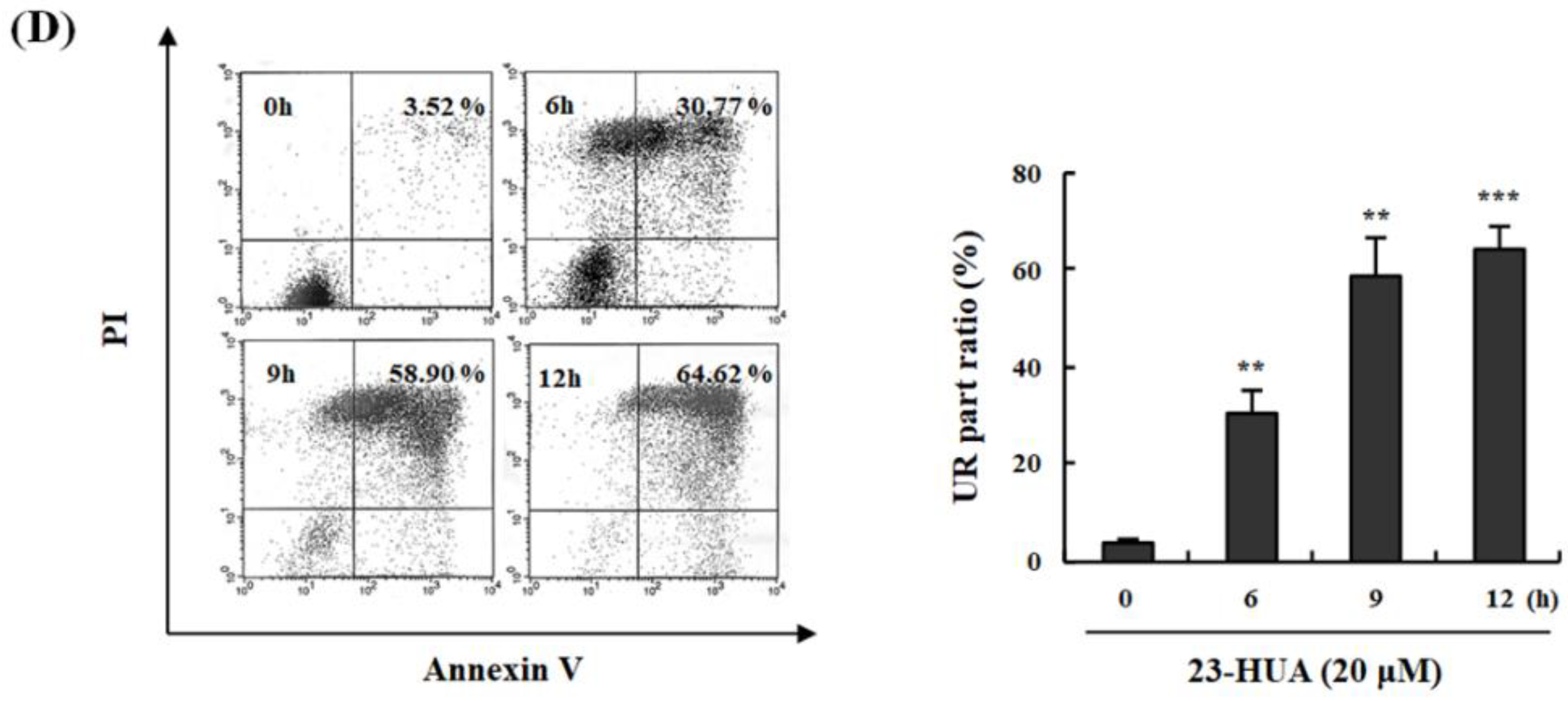 Molecules 23 03306 g001b Molecules 23 03306 g001b