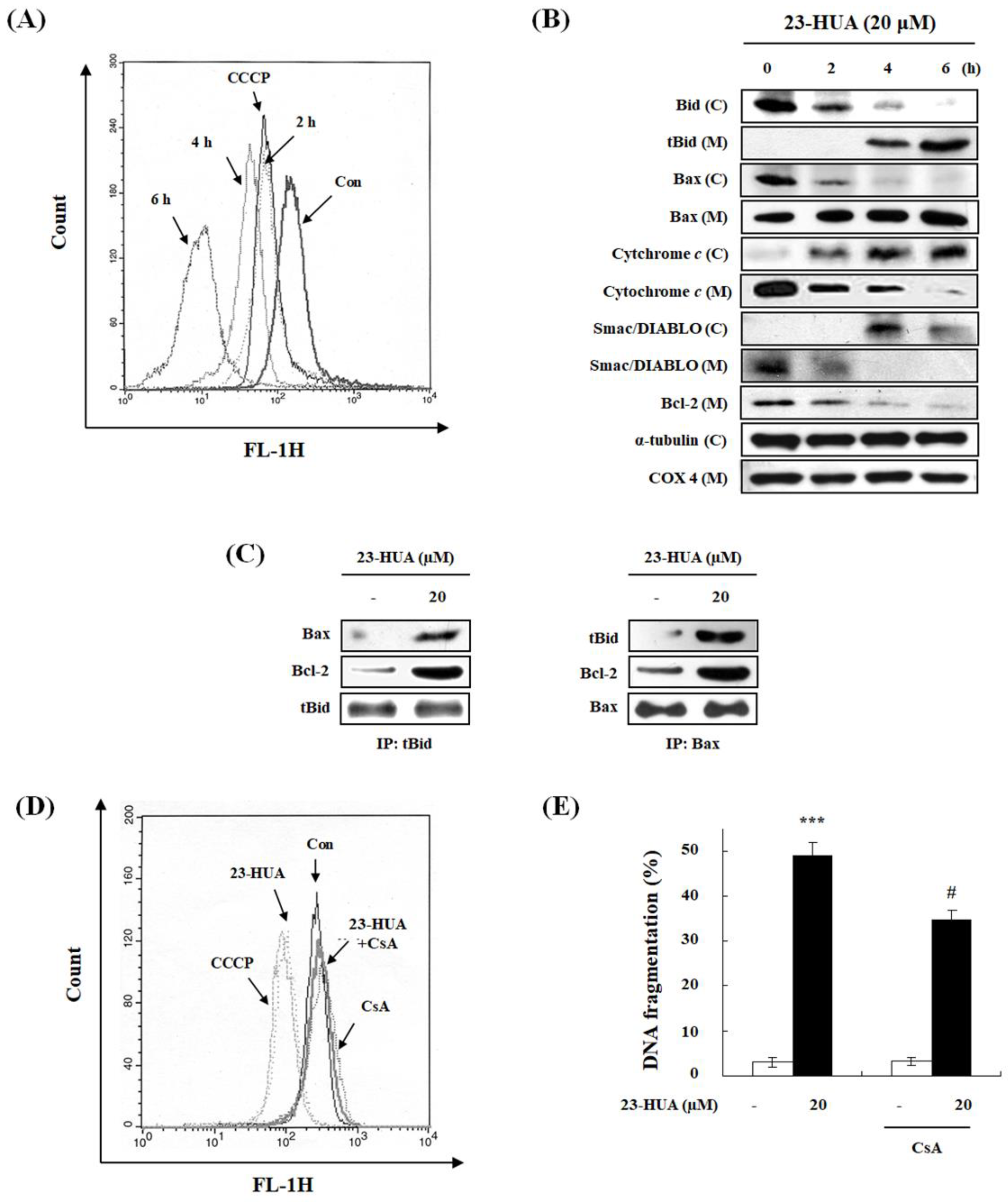 Molecules 23 03306 g002 Molecules 23 03306 g002