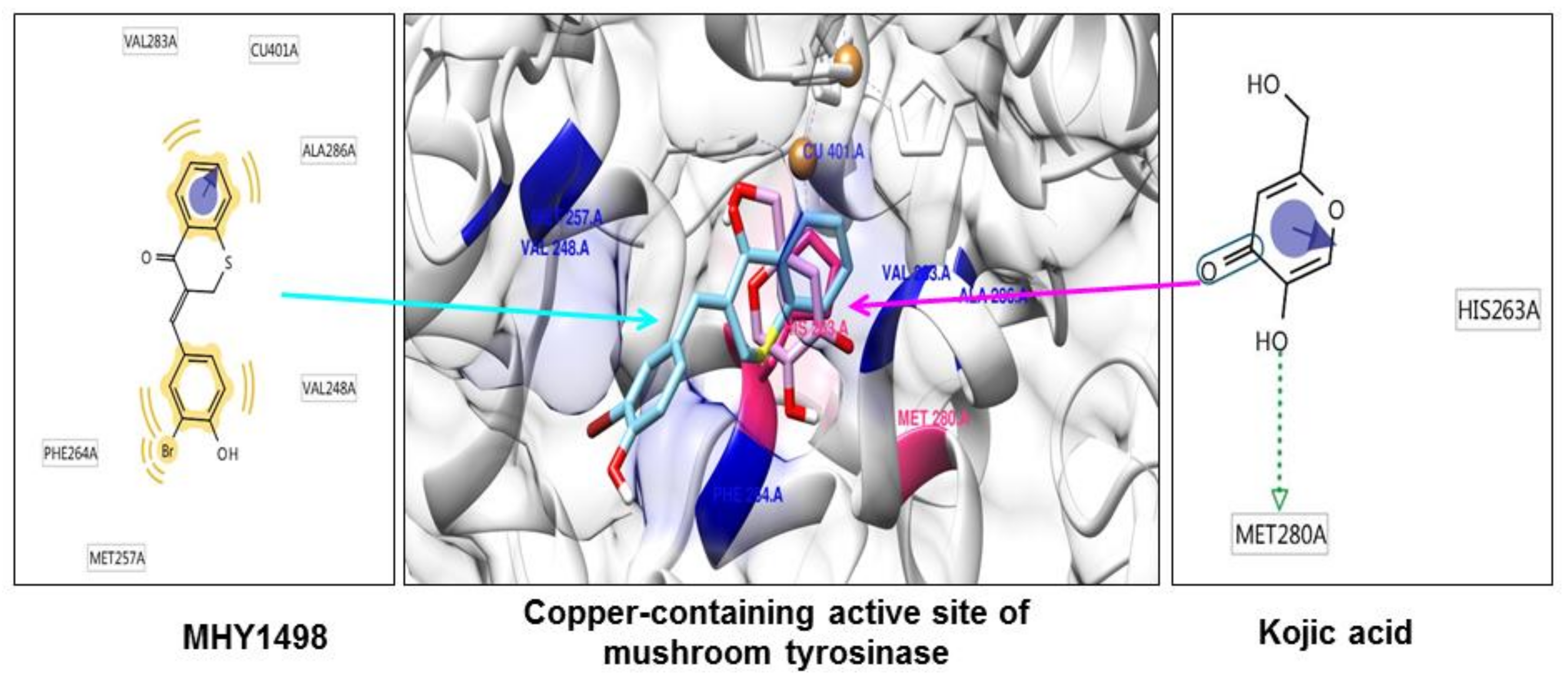 Molecules 23 03307 g004