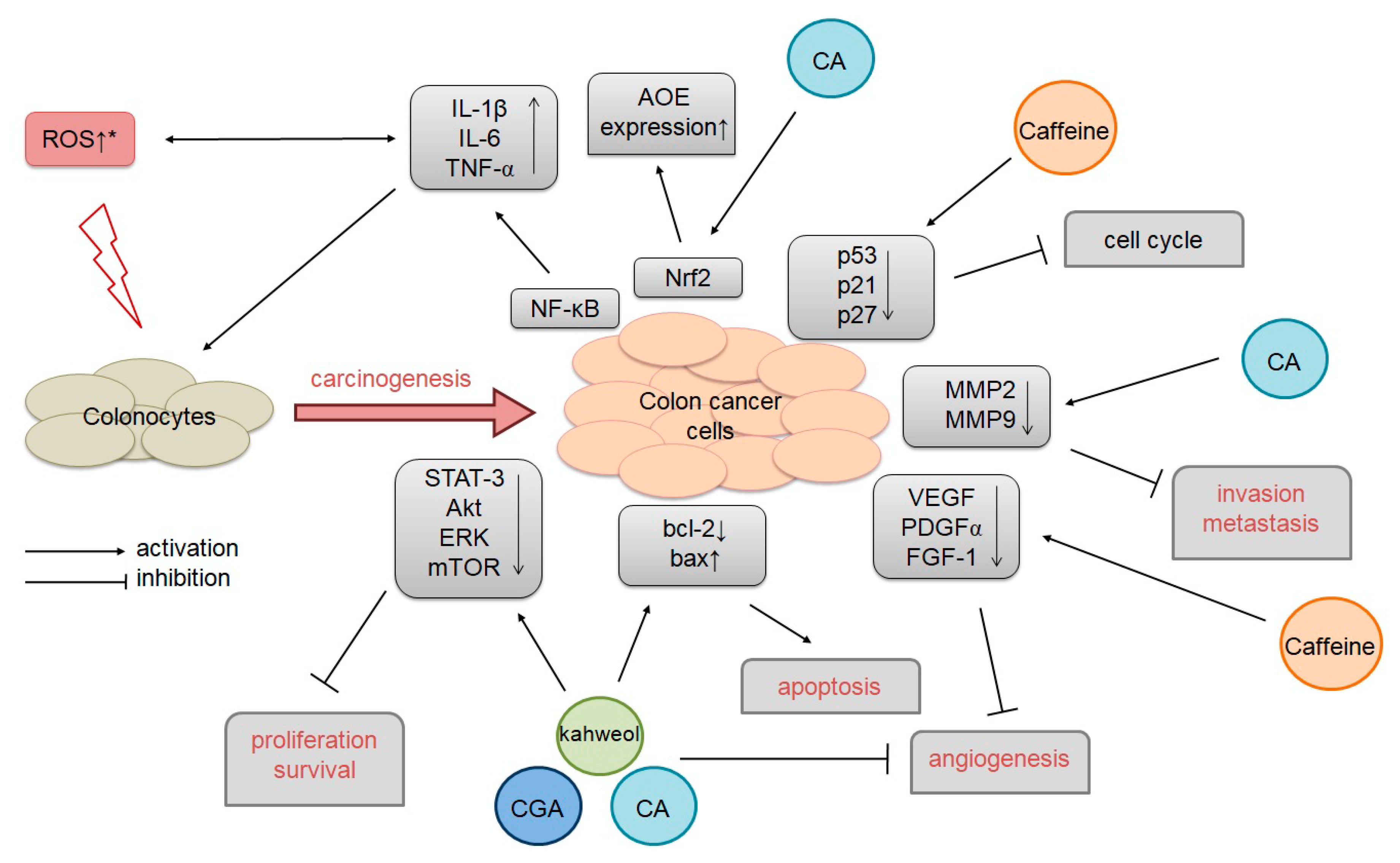 Molecules 23 03309 g002