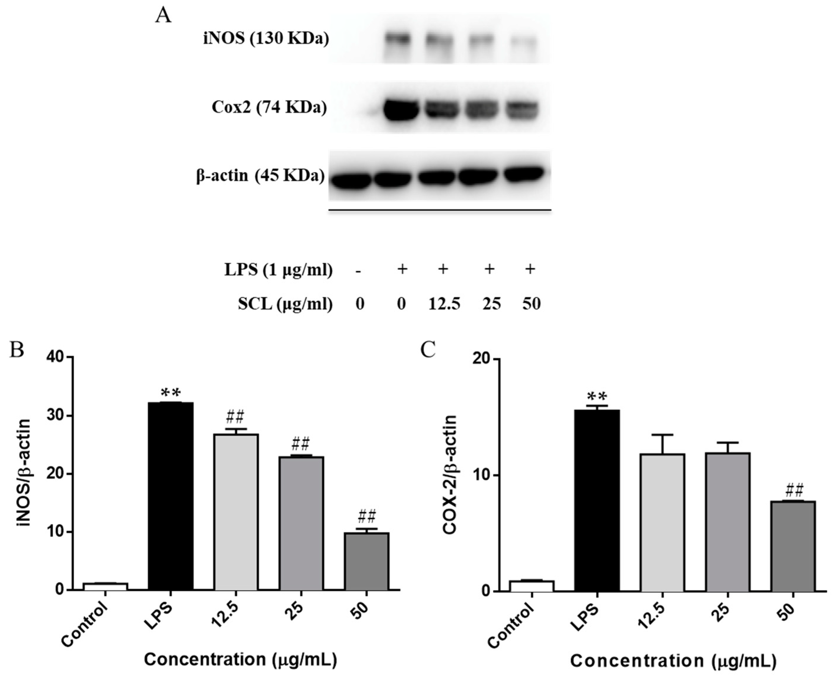 Molecules 23 03319 g003 Molecules 23 03319 g003
