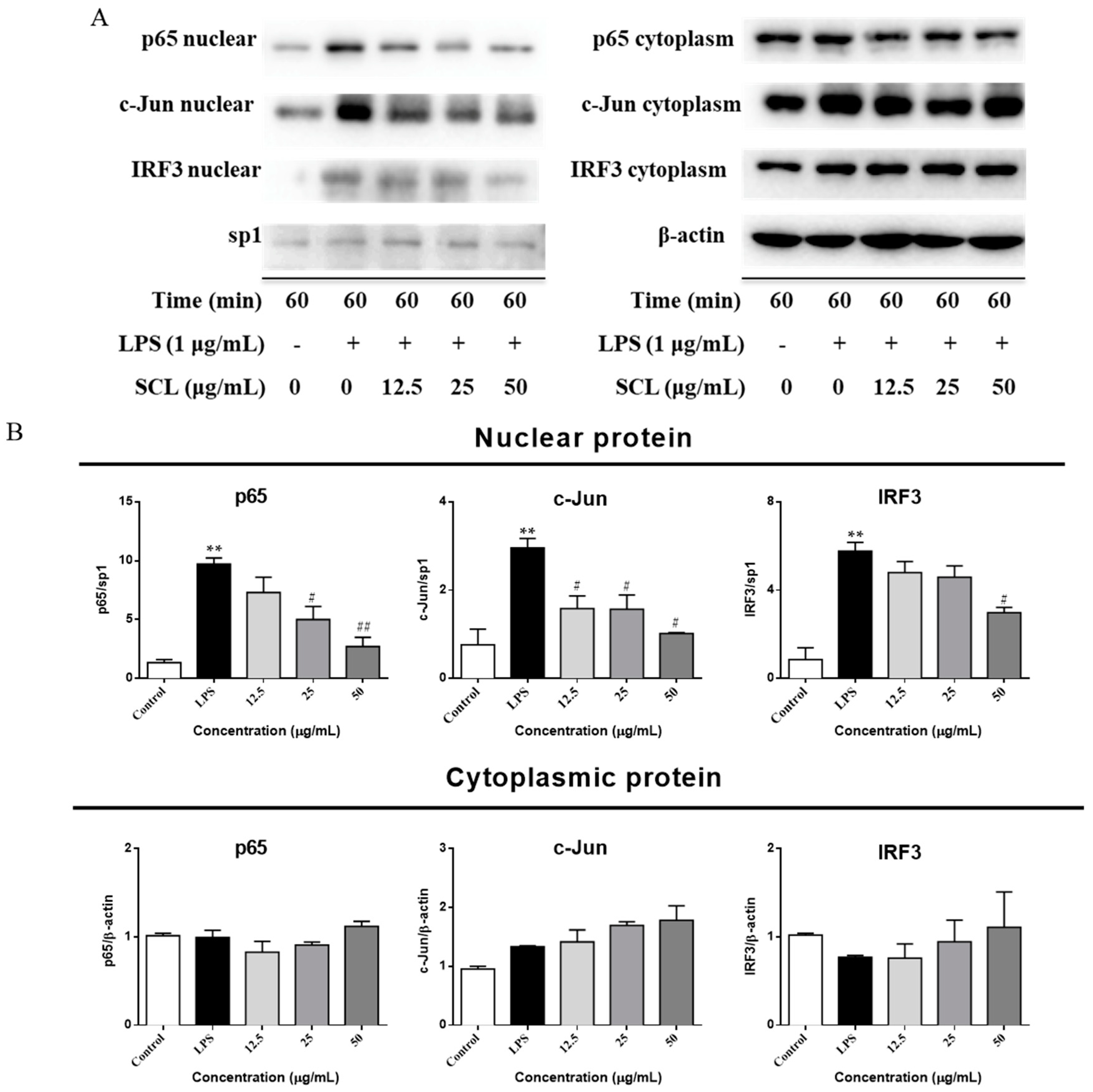Molecules 23 03319 g007 Molecules 23 03319 g007